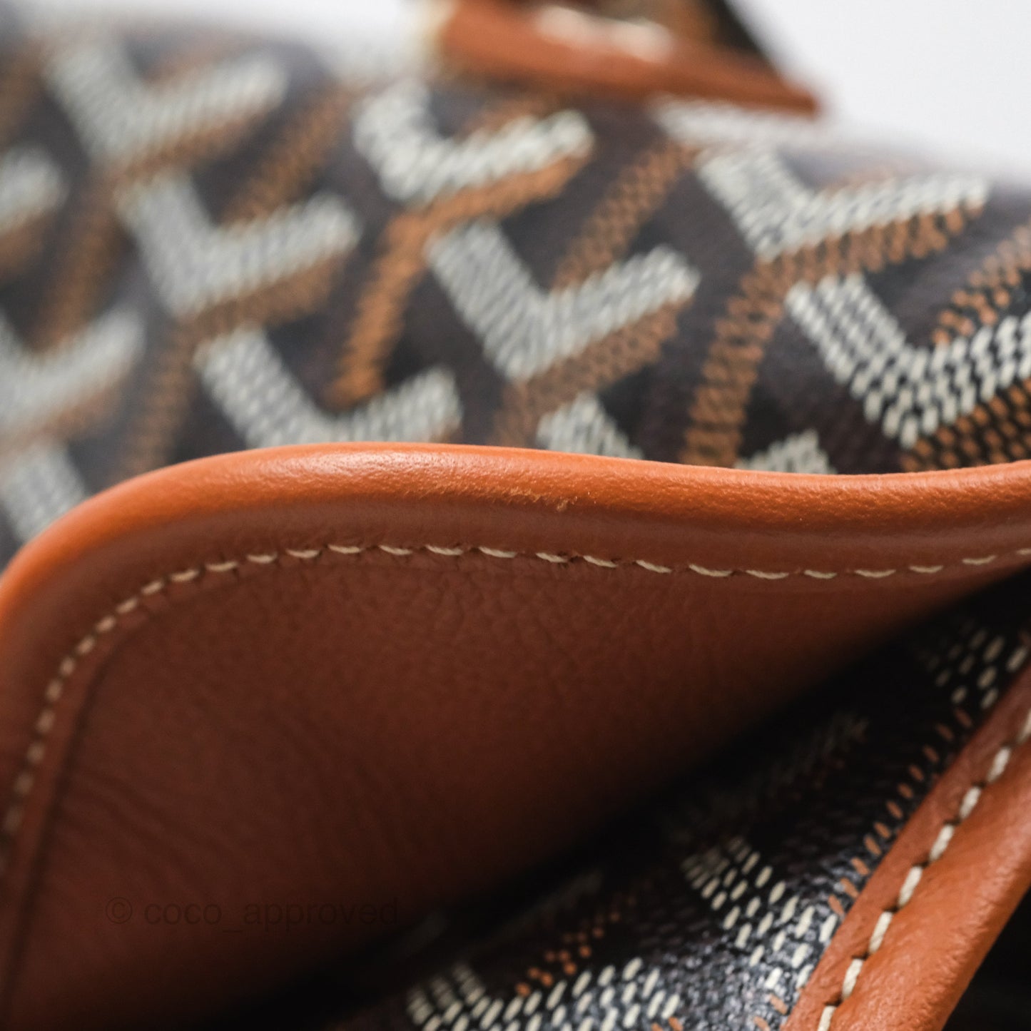 Goyard Saint Léger Backpack Black/ Tan