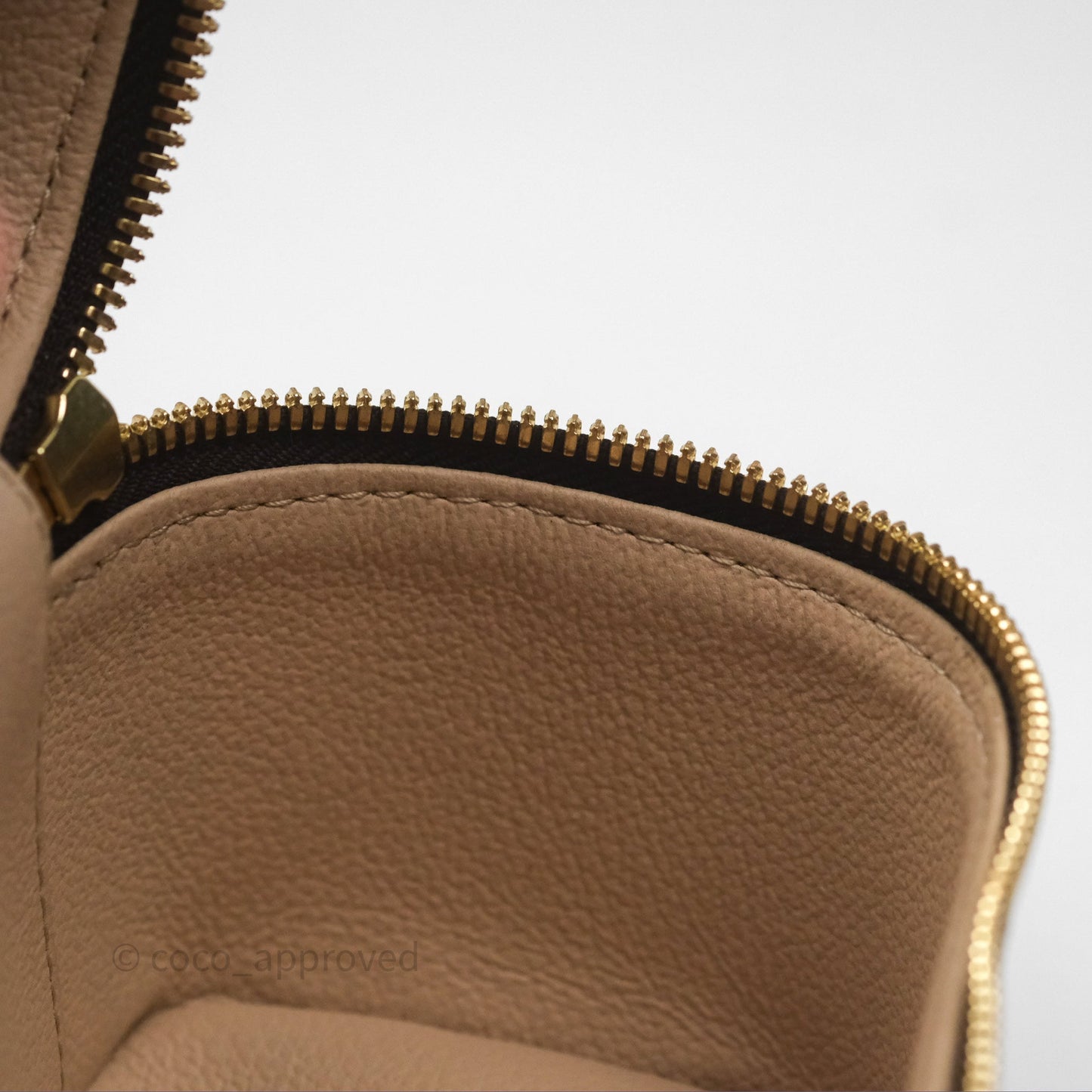 Louis Vuitton Monogram Nice Nano