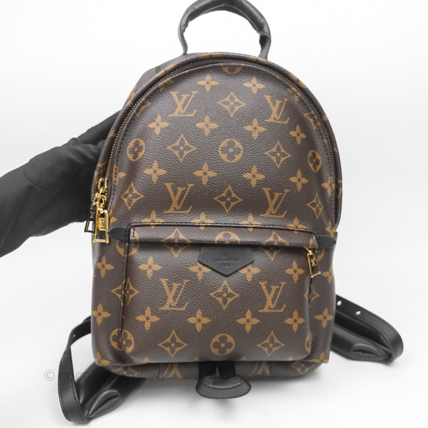 Louis Vuitton Palm Springs Backpack⁣ Monogram PM