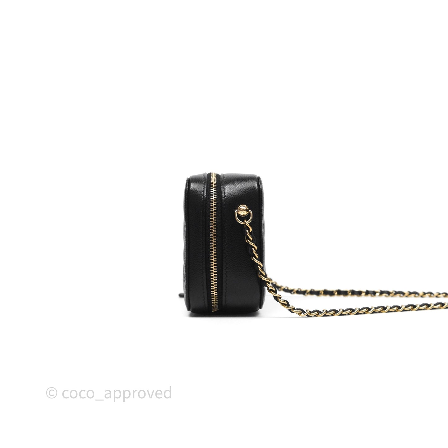 Chanel Quilted Camera Case Black Caviar Gold Hardware