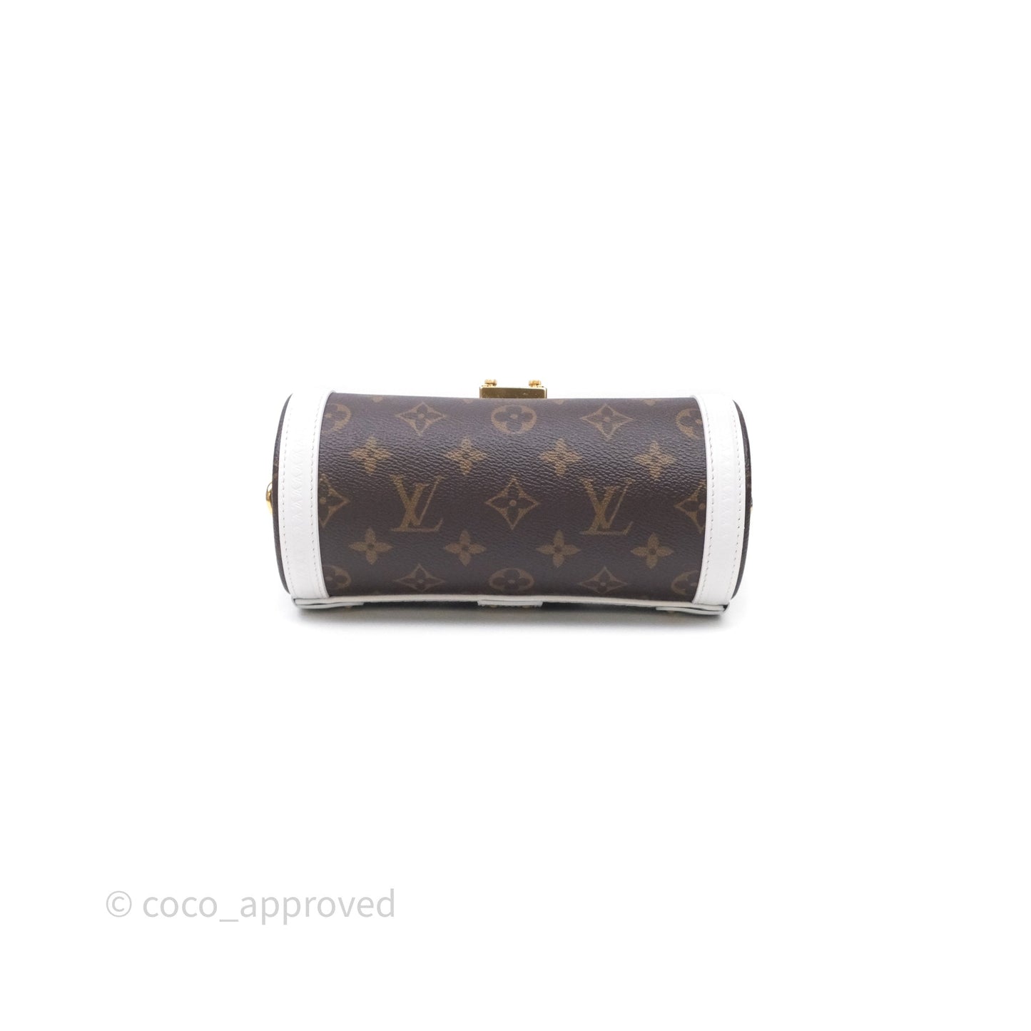 Louis Vuitton Monogram Papillon Trunk Bag