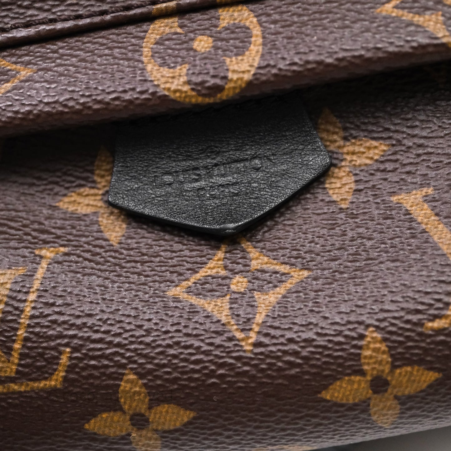 Louis Vuitton Mini Palm Springs Backpack⁣ Monogram