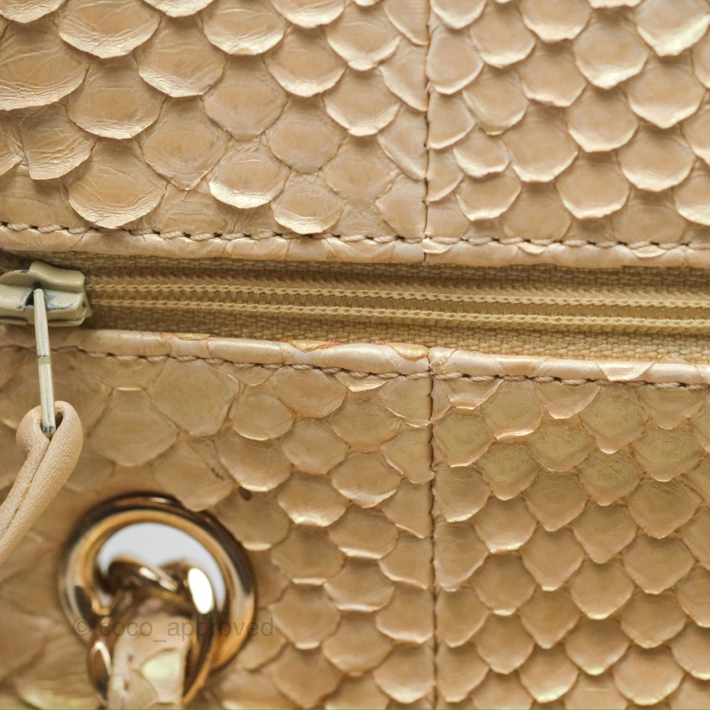 Chanel Jumbo Double Flap Iridescent Gold Python Gold Hardware⁣⁣