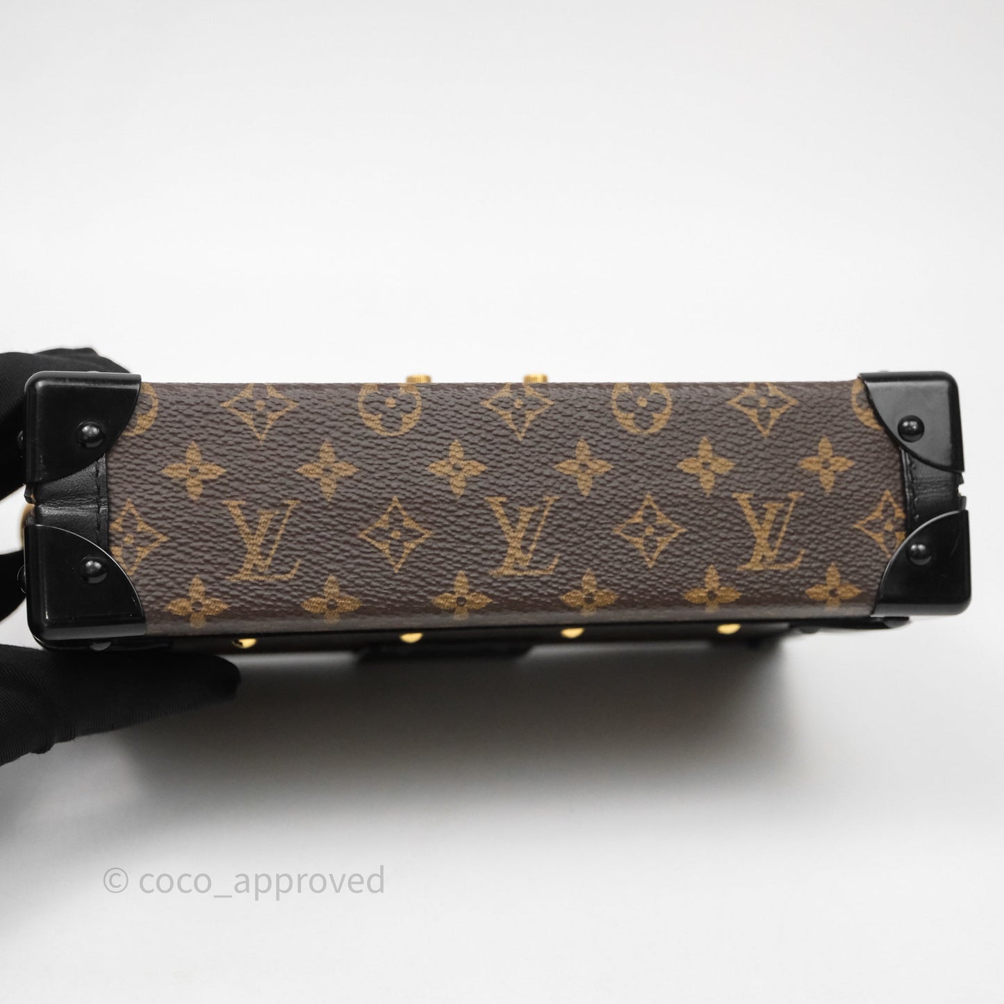 Louis Vuitton Monogram Petite Malle