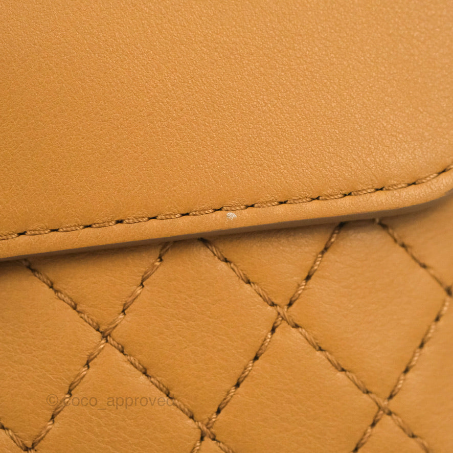 Chanel Flap Waist Bag with Leather & Tweed Coin Purses Dark Beige Calfskin