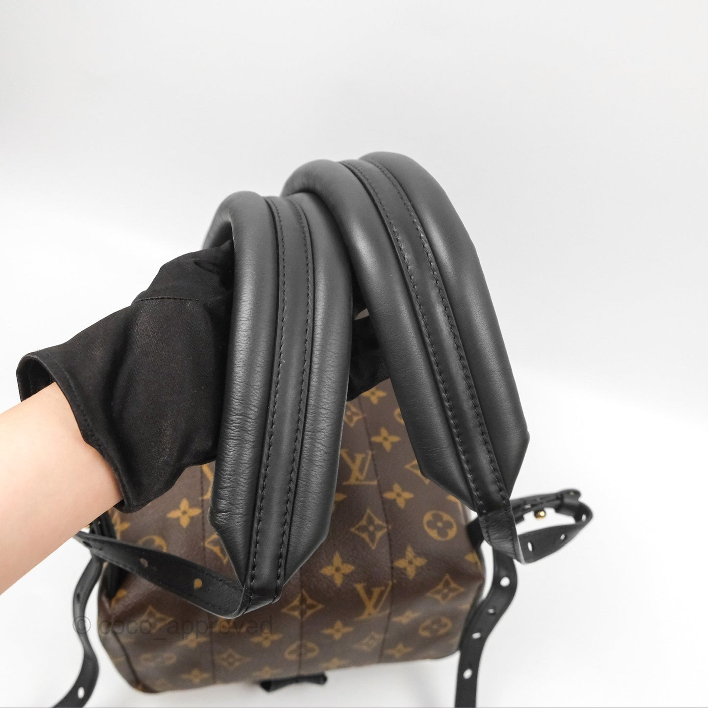 Louis Vuitton Palm Springs Backpack⁣ Monogram PM