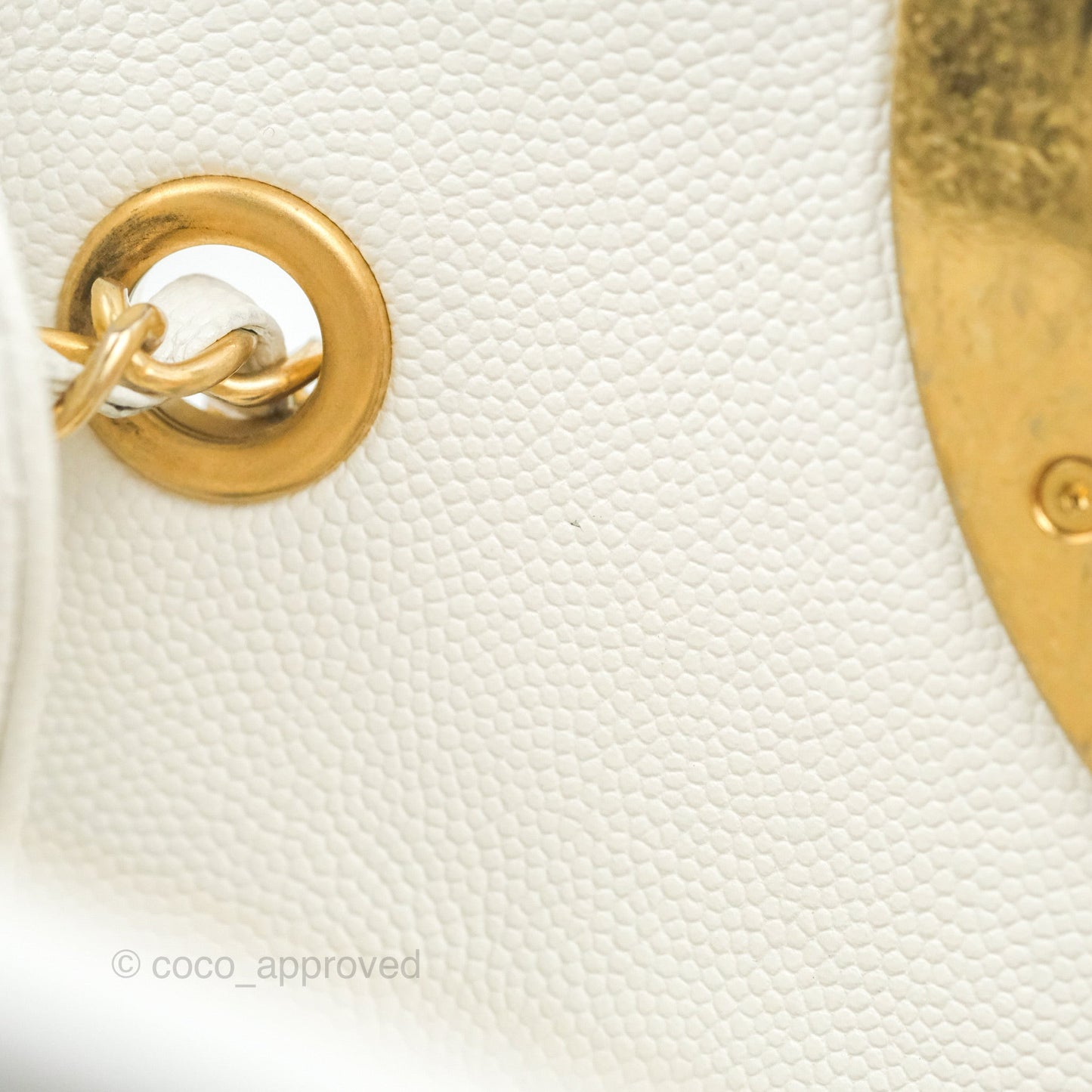 Chanel A Real Catch Shopping Bag White Caviar