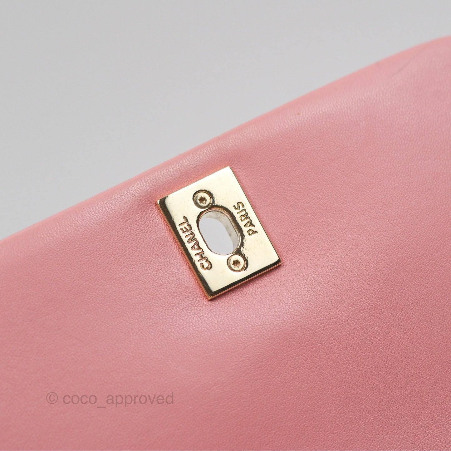 Chanel Citizen Chic Flap Bag Pink Lambskin Gold Hardware