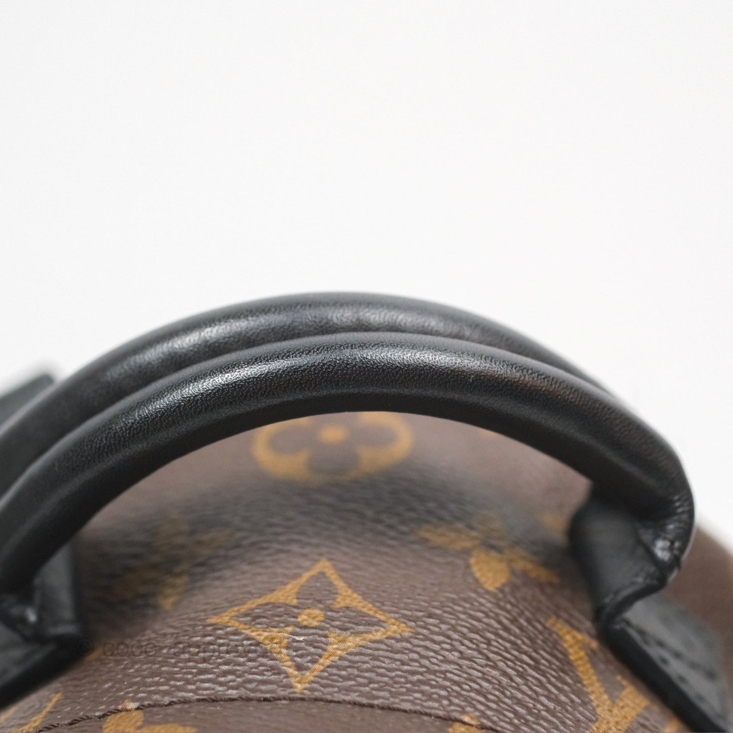Louis Vuitton Mini Palm Springs Backpack⁣ Monogram