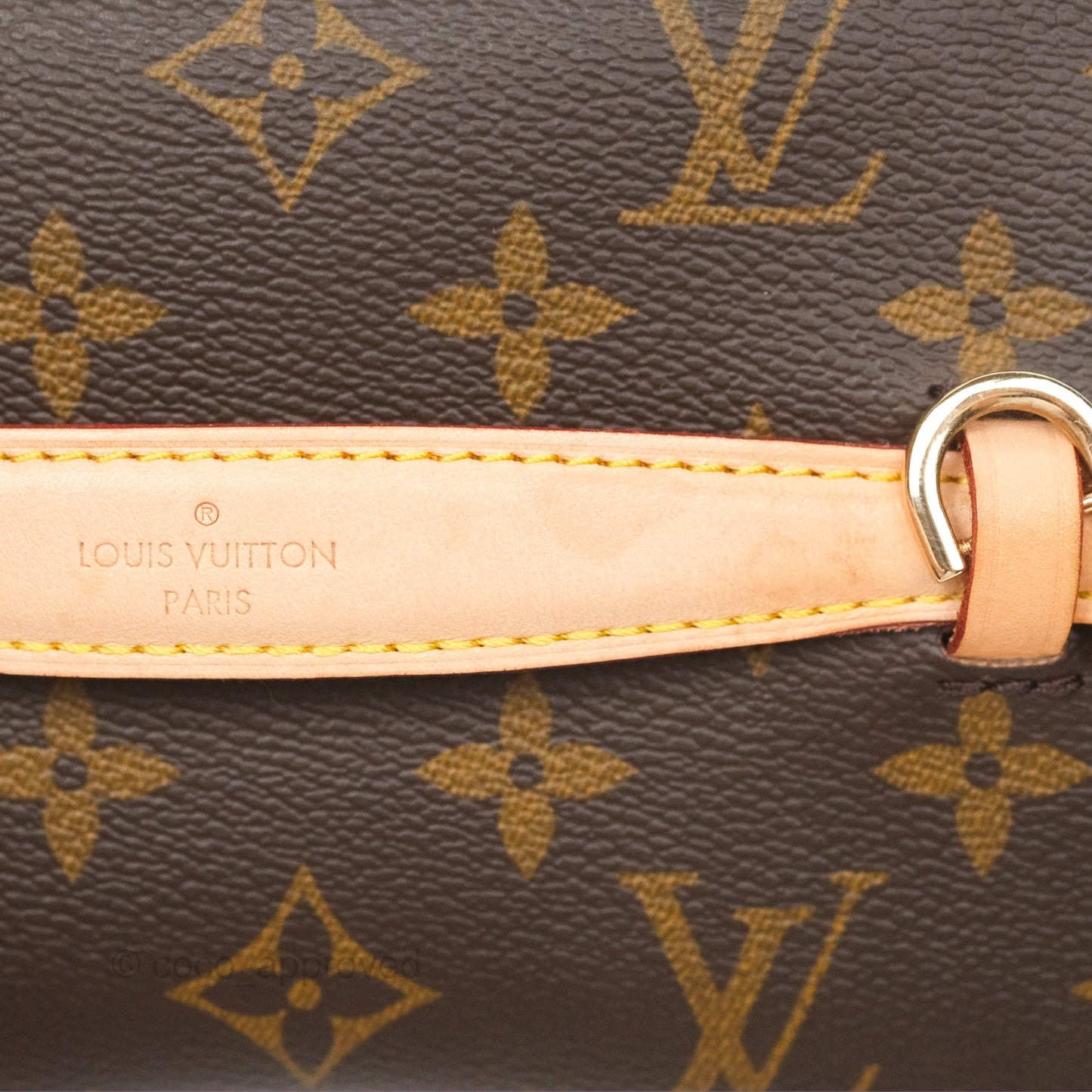 Louis Vuitton Monogram Nice Mini