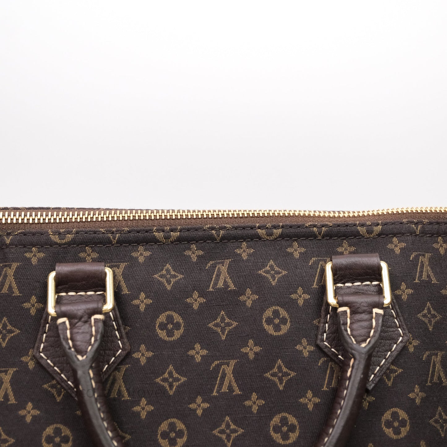 Louis Vuitton Speedy 30 Monogram Mini Lin