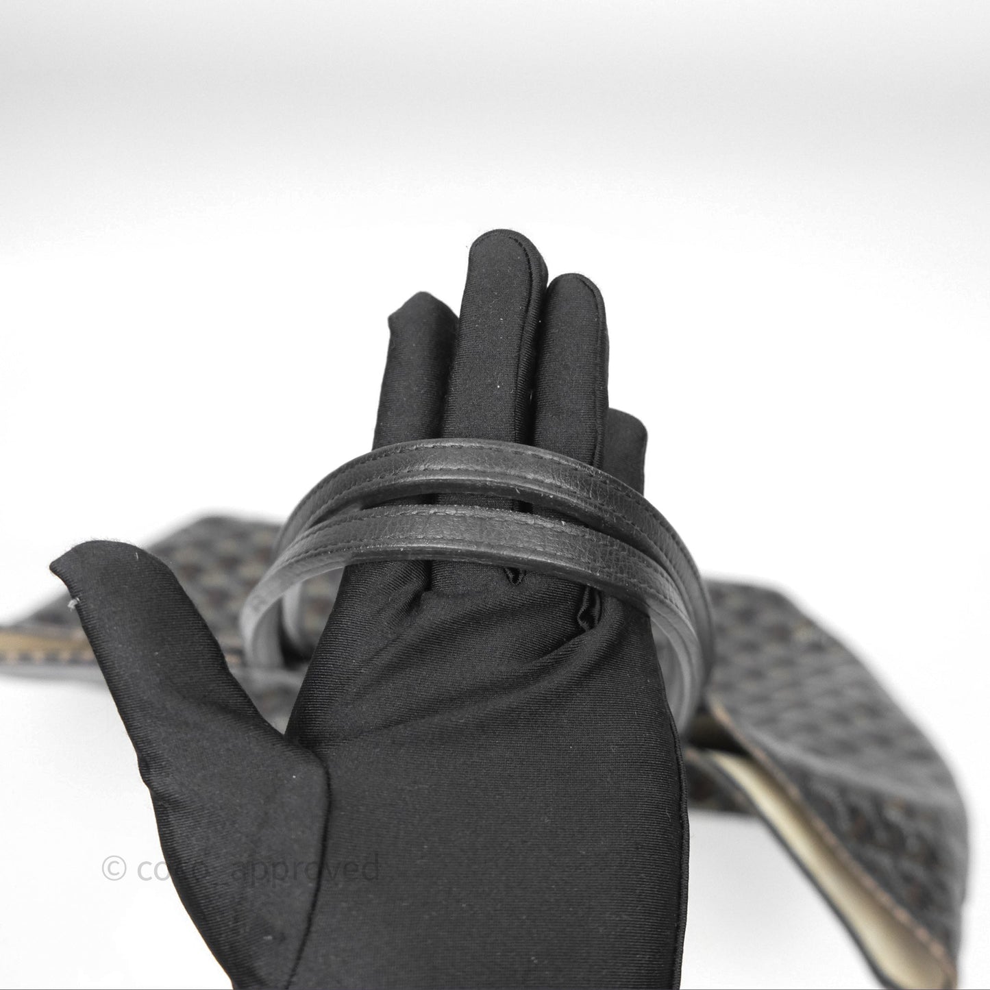 Goyard Saint Louis Black Goyardine Canvas PM⁣⁣⁣⁣⁣⁣⁣⁣⁣⁣⁣⁣⁣⁣⁣⁣