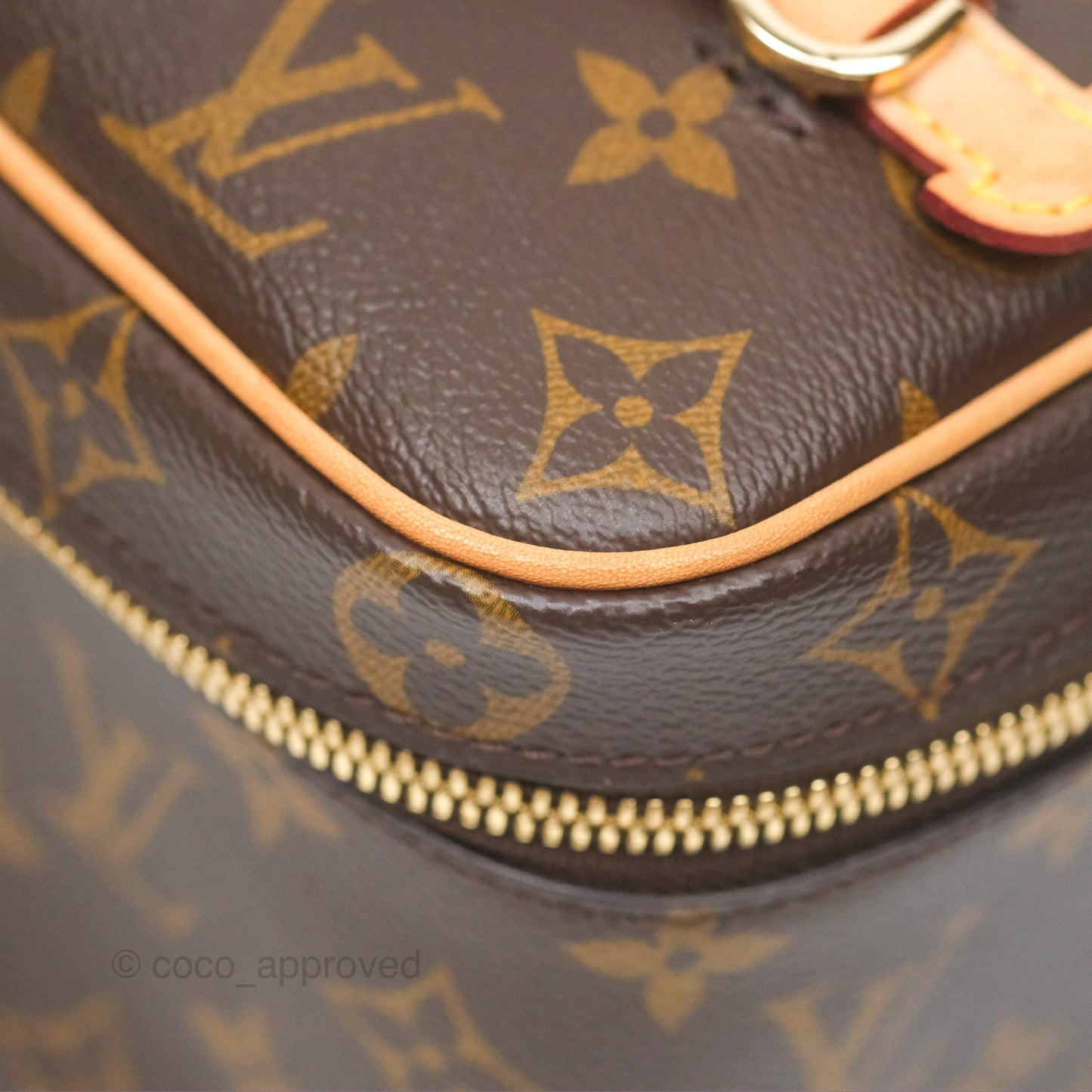 Louis Vuitton Monogram Nice Mini