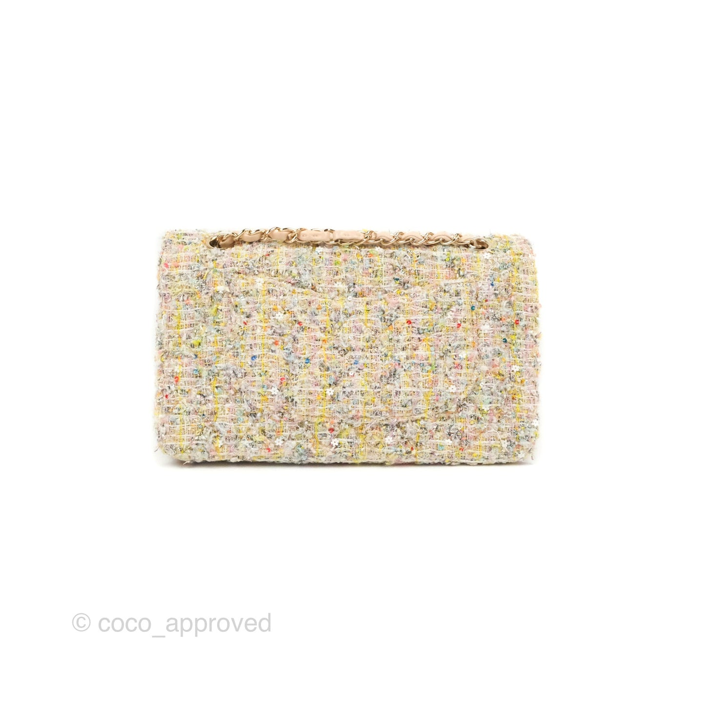 Chanel Reissue 225 Tweed Pastel Garden Party Flap