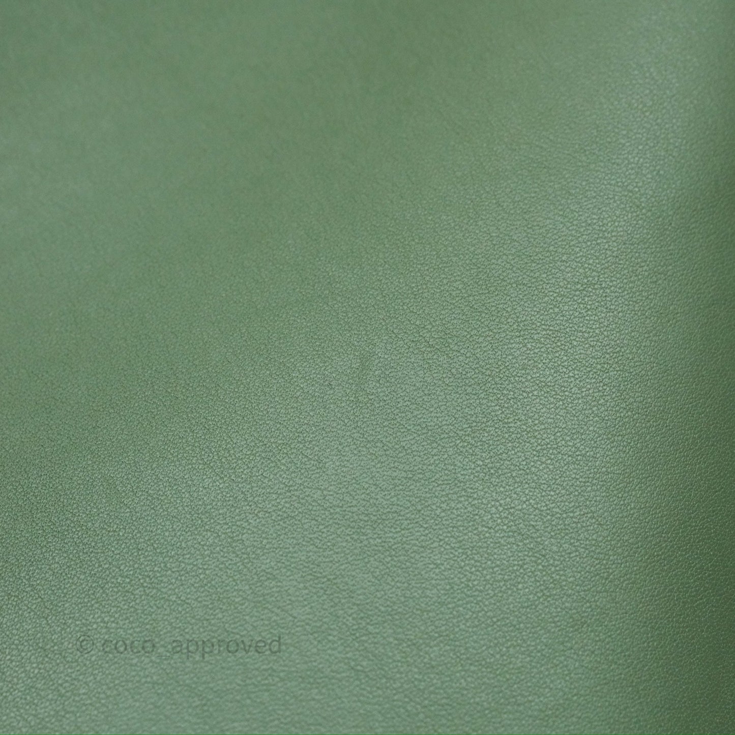 Loewe Small Anagram Tote In Rosemary Green Calfskin