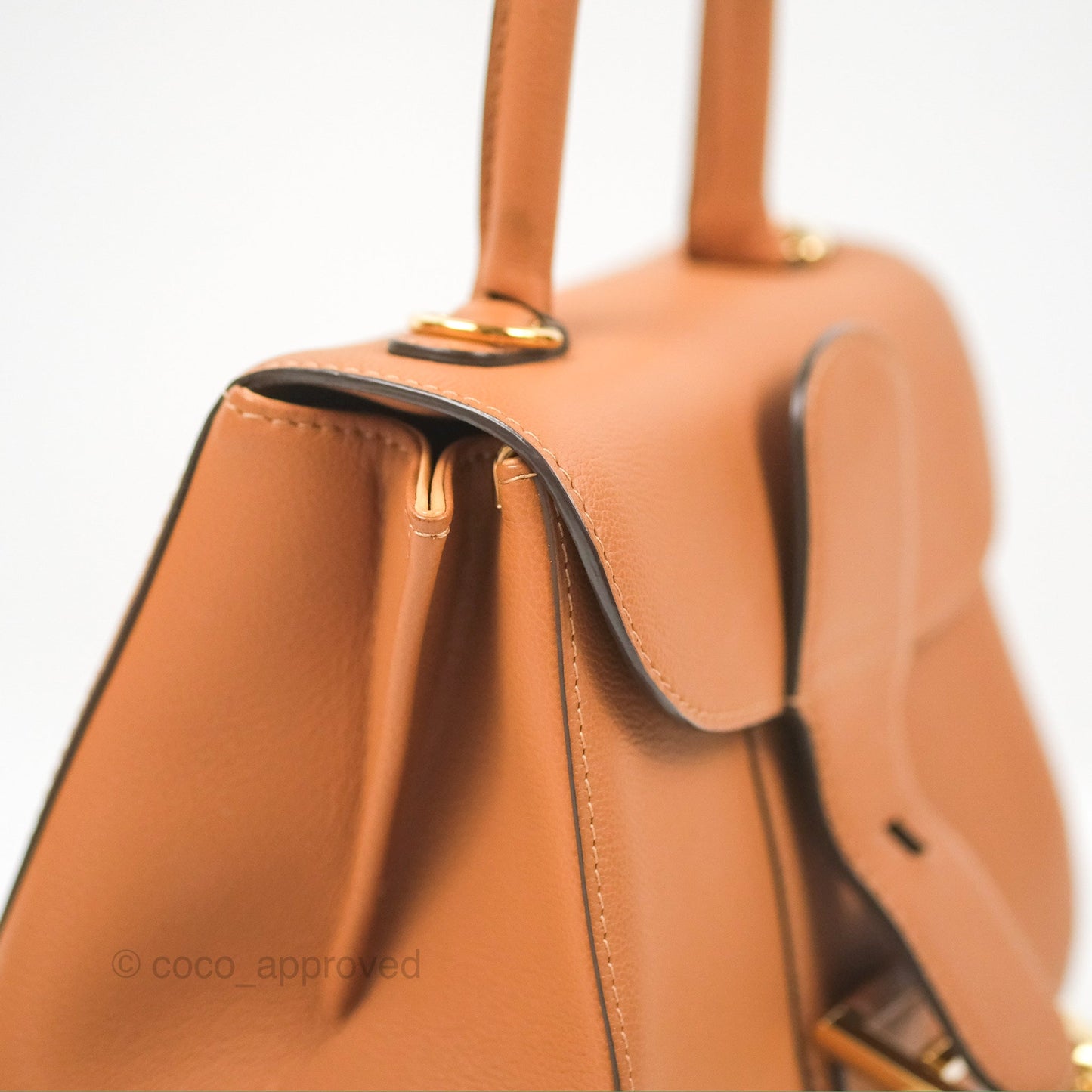 Delvaux Mini Brillant Bag Vegetal Rodeo Calf Gold Hardware