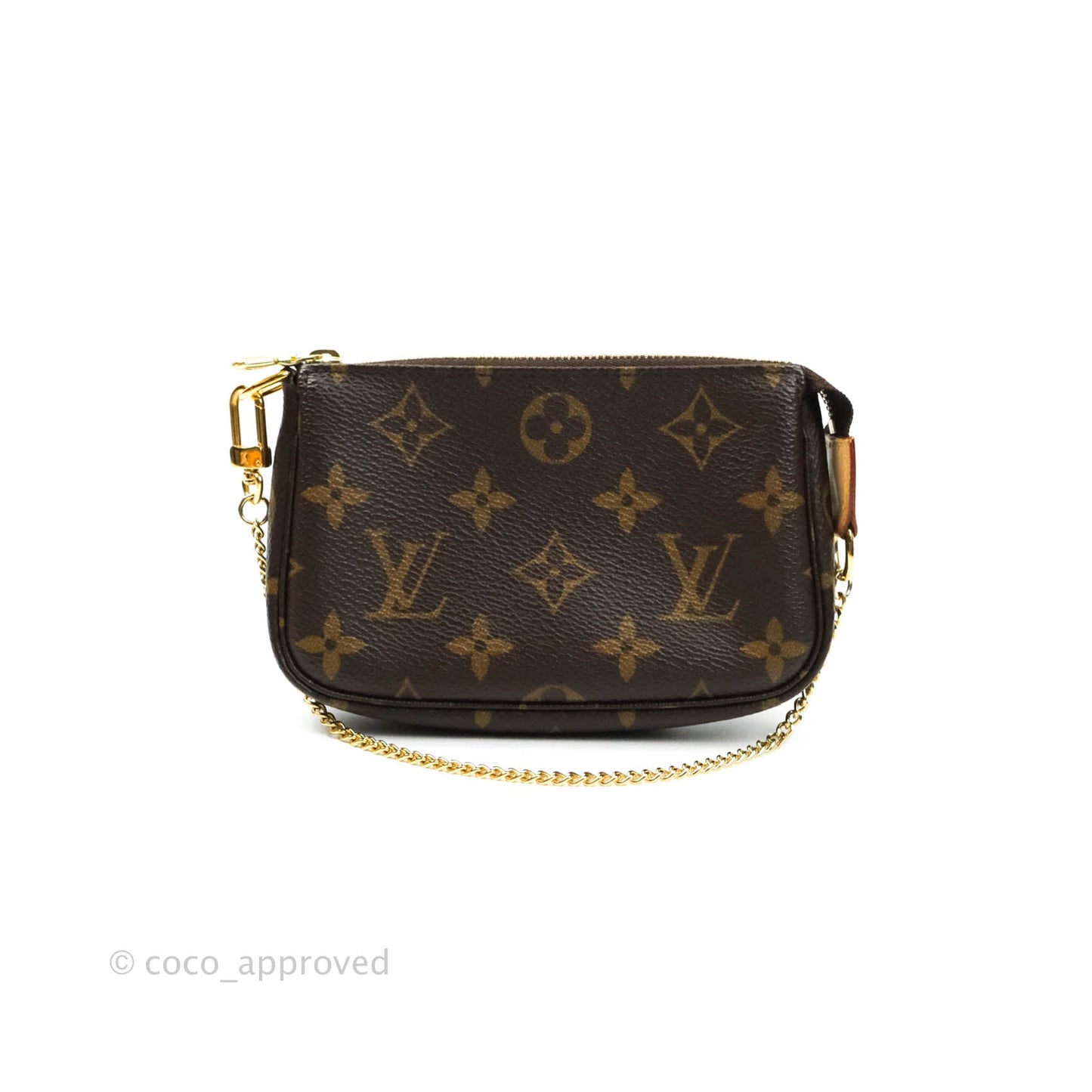 Louis Vuitton Monogram Canvas Mini Pochette Accessories
