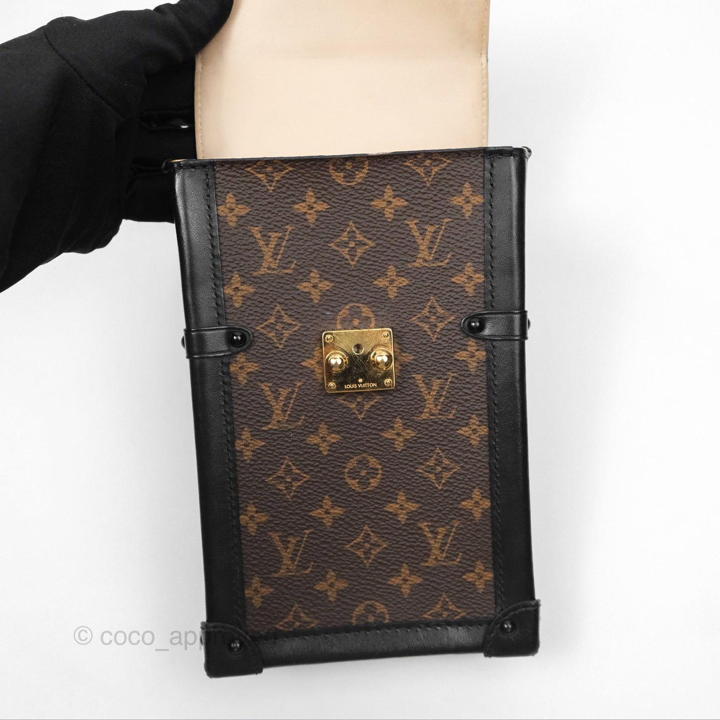 Louis Vuitton Monogram Vertical Trunk Pochette