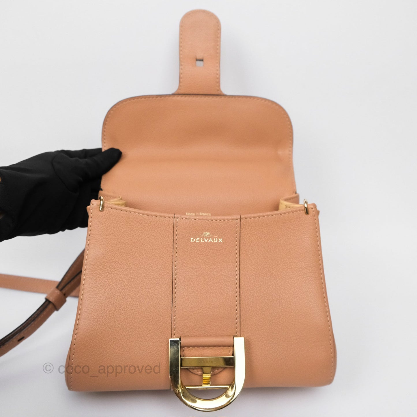 Delvaux Mini Brillant Bag Nude Grained Calfskin Gold Hardware