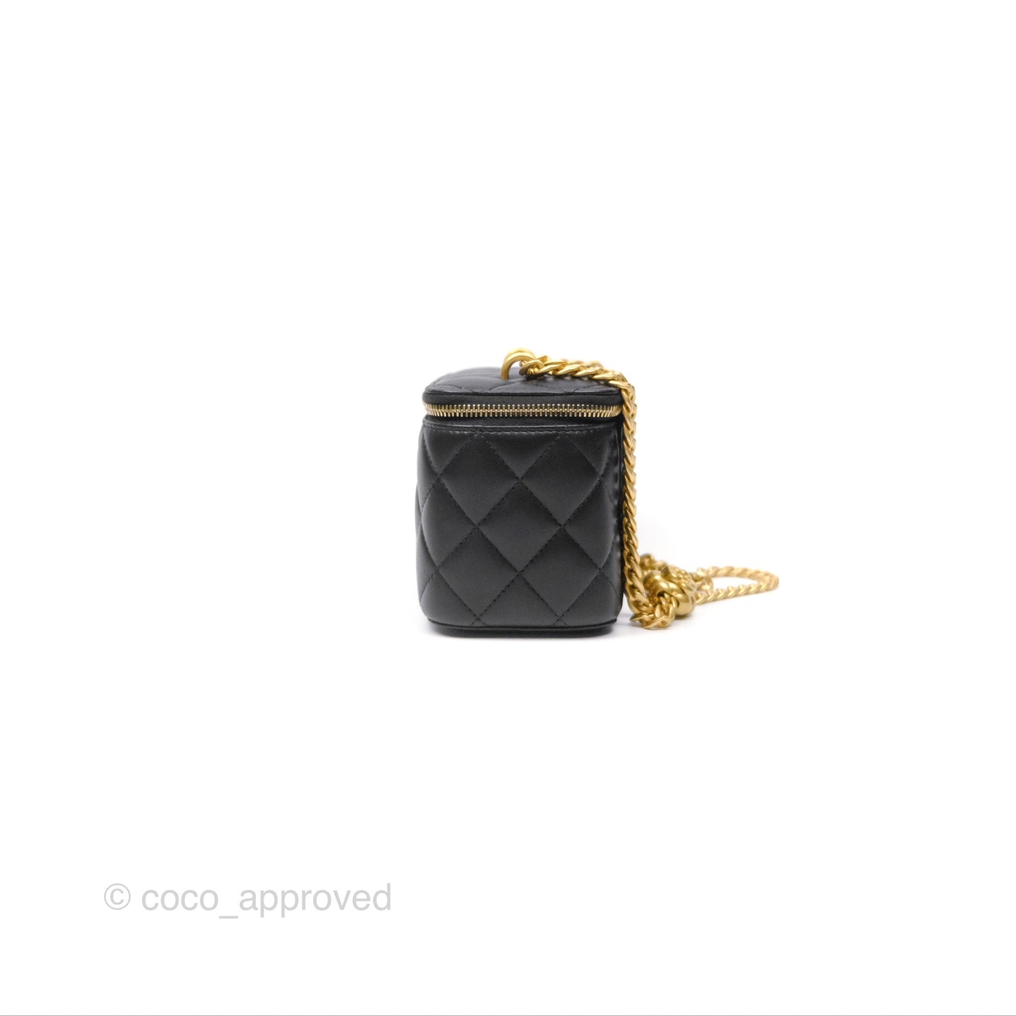 Chanel Quilted Vanity Rectangular with Camellia Adjustable Chain Black Lambskin 23S