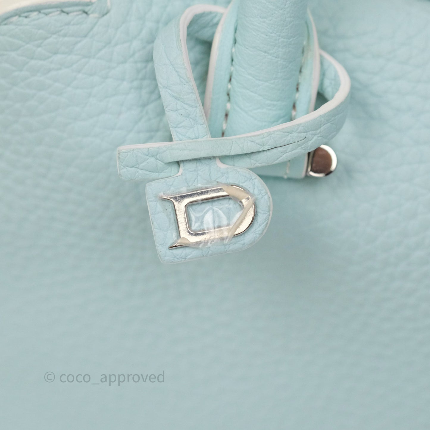 Delvaux Cool Box Mini Taurillon Soft Grained Calfskin Celadon
