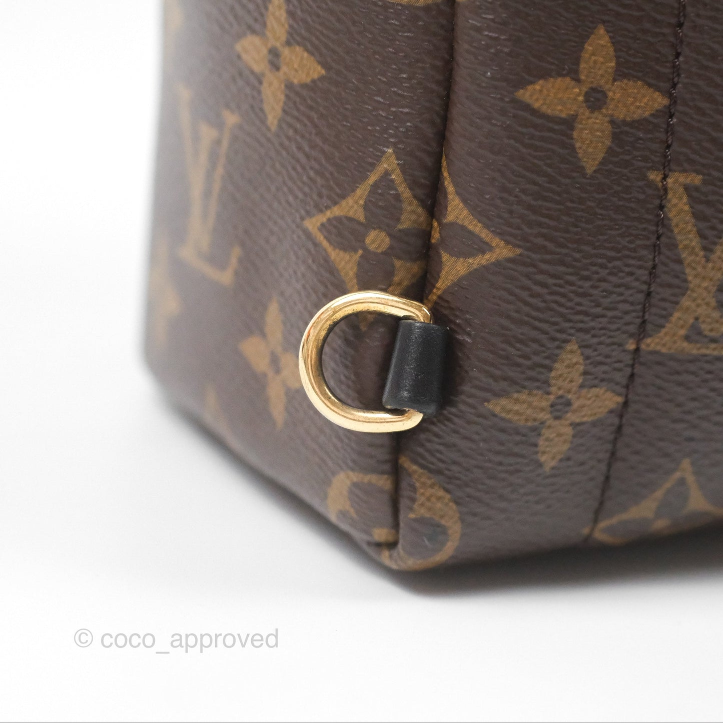 Louis Vuitton Monogram Mini Palm Springs Backpack⁣