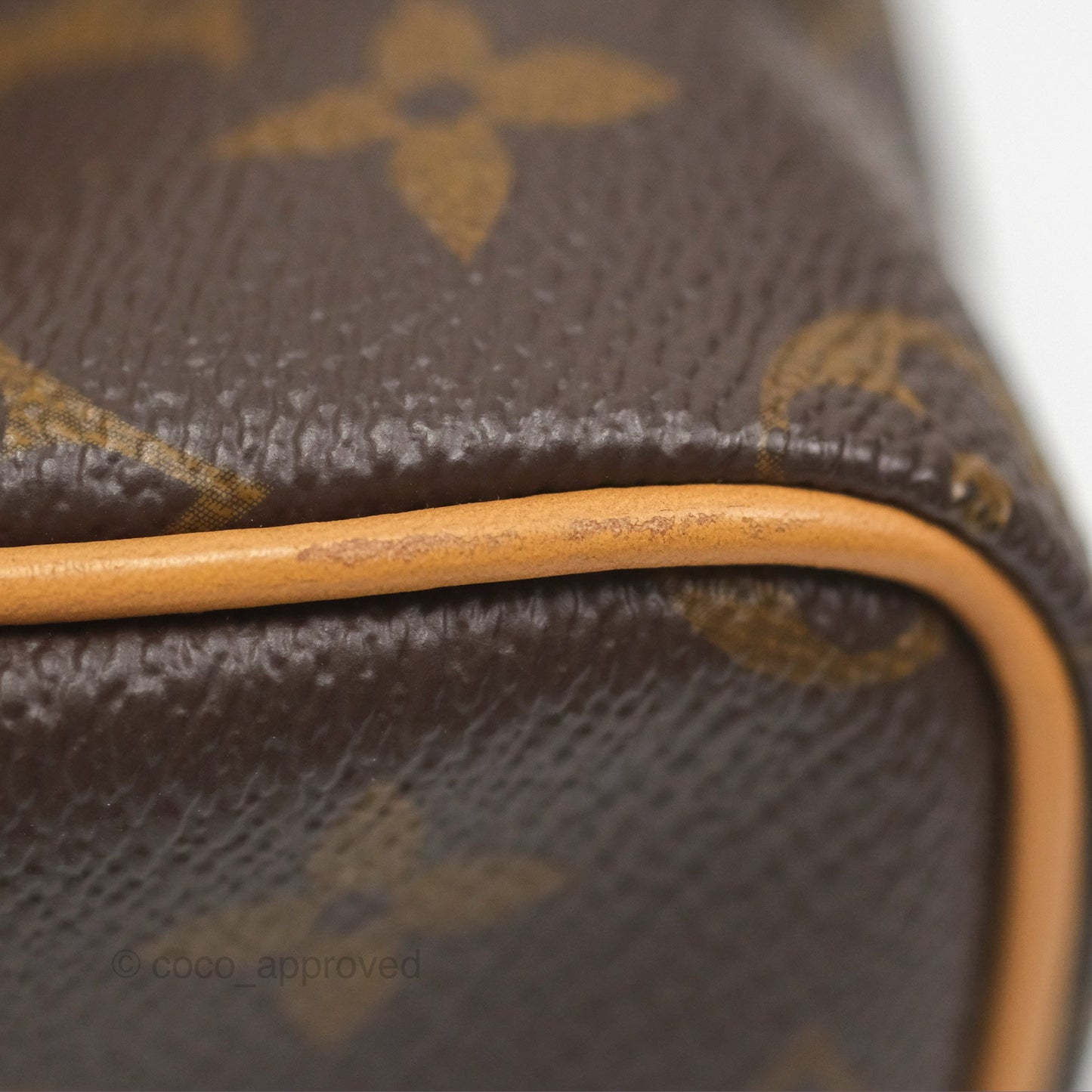 Louis Vuitton Nano Speedy Monogram