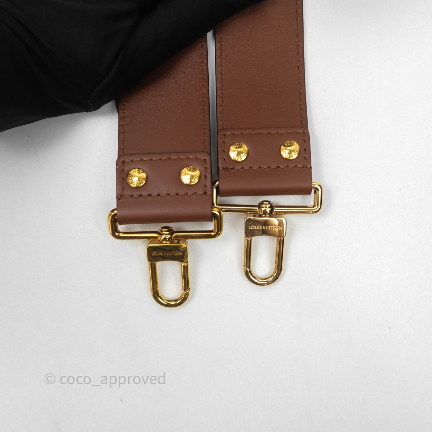 Louis Vuitton Papillon Trunk Monogram Coated Canvas