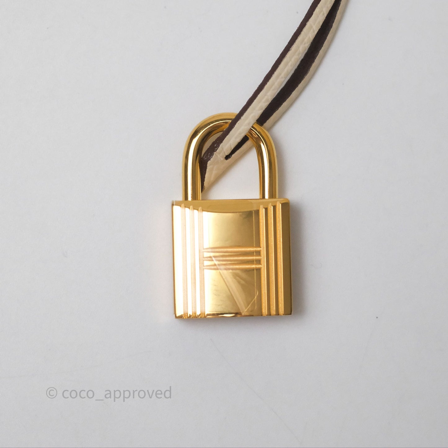 Hermès Birkin 25 Sellier Nata I2 Epsom Gold Hardware