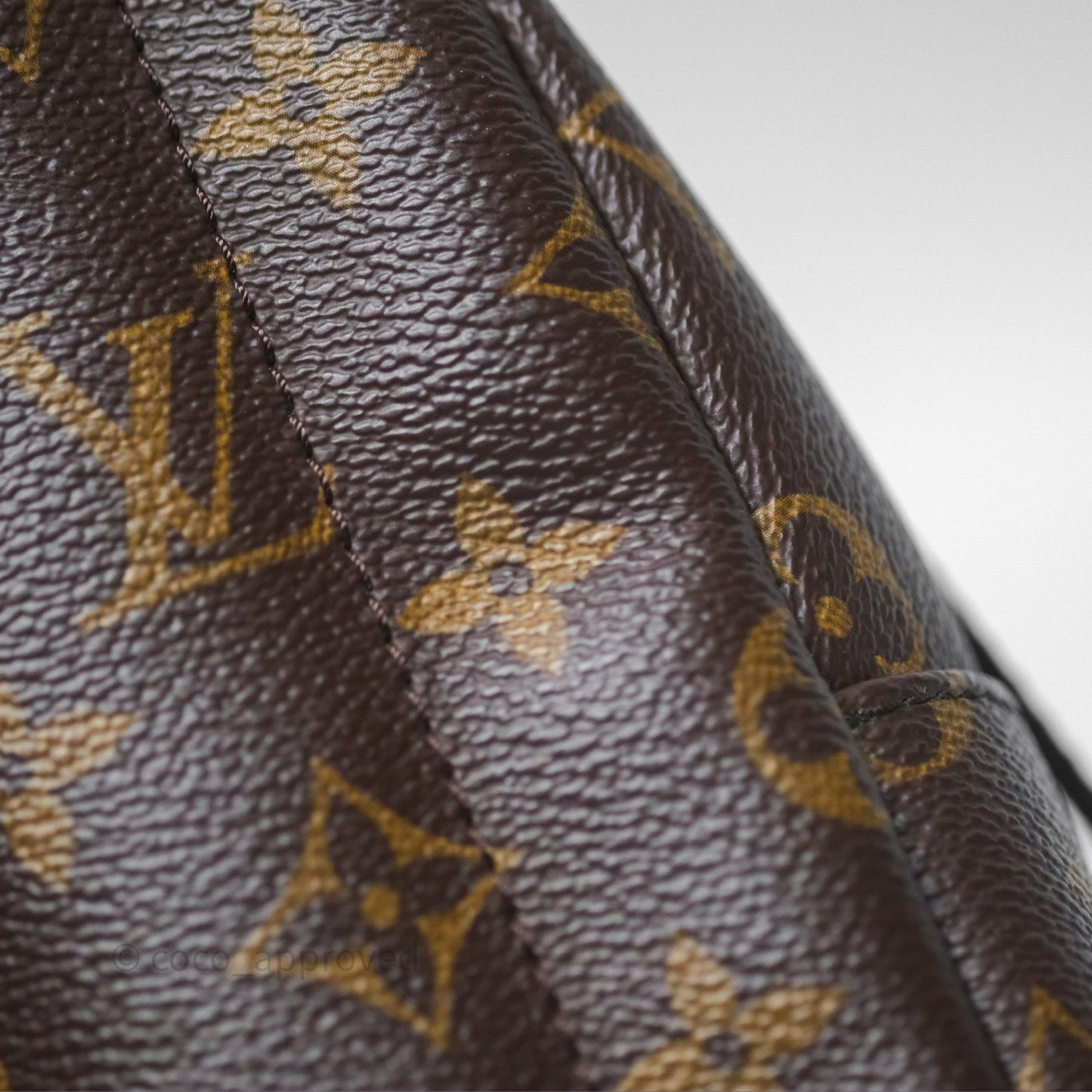 Louis Vuitton Monogram Mini Palm Springs Backpack⁣