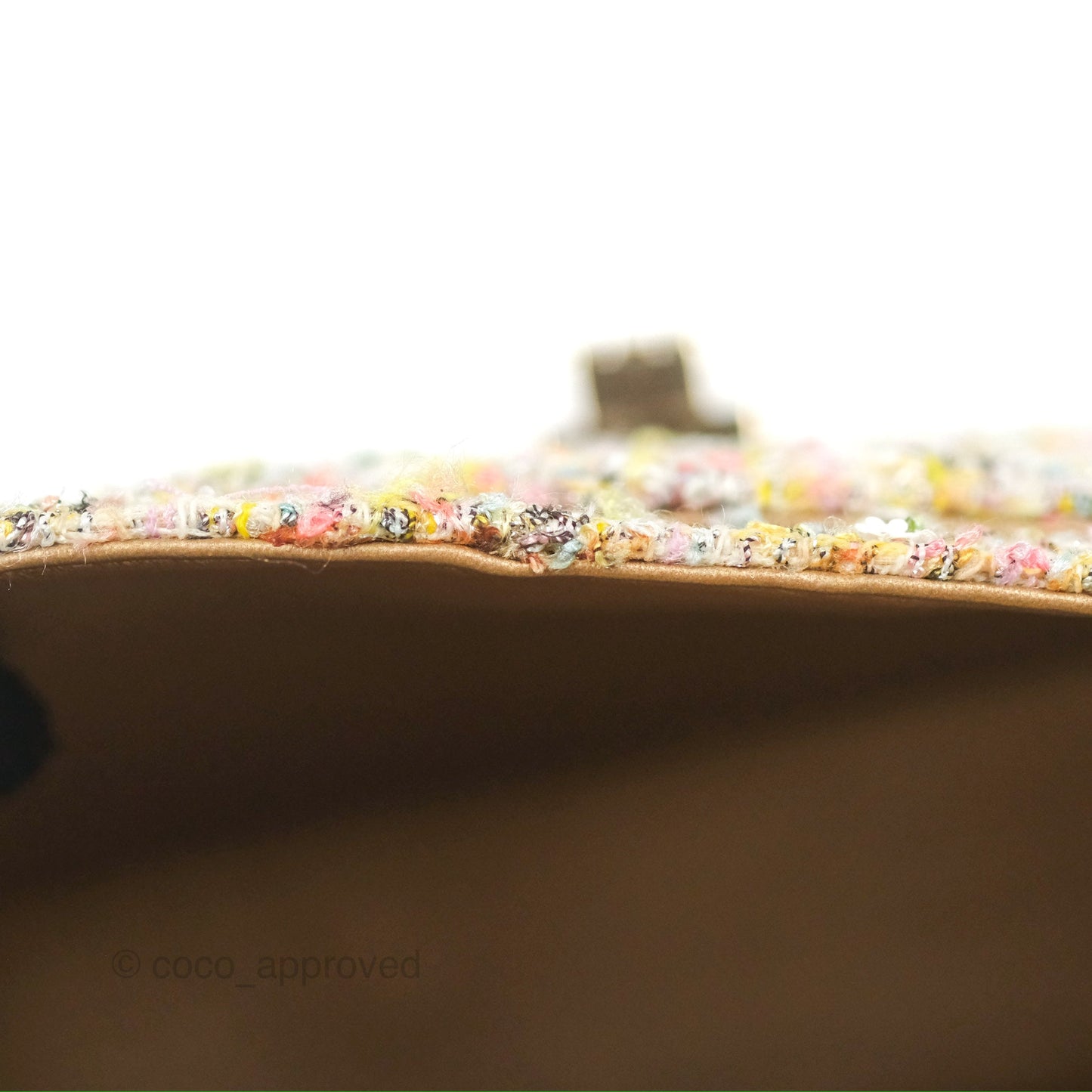Chanel Reissue 225 Tweed Pastel Garden Party Flap