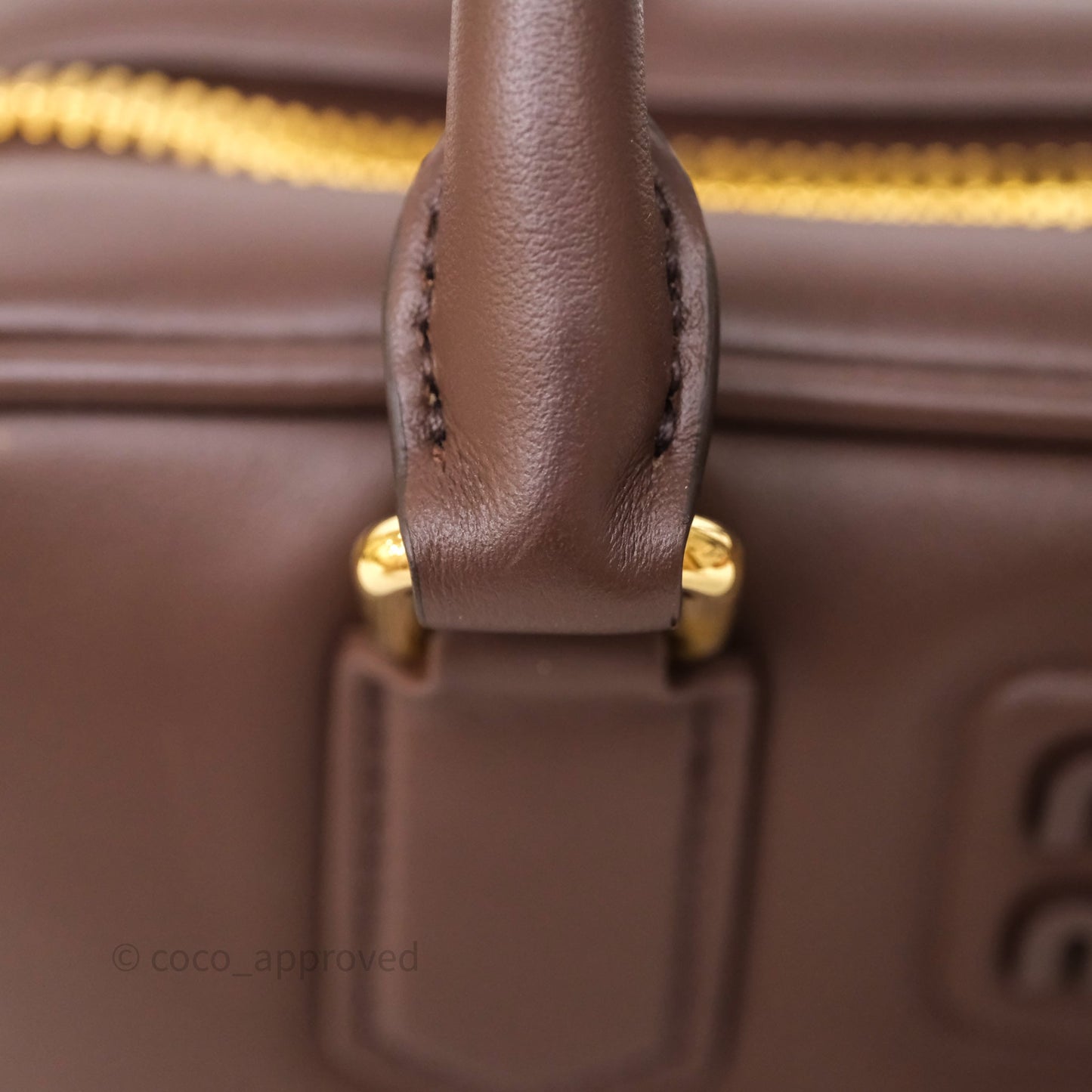 Miu Miu Arcadie Leather Bag Briarwood