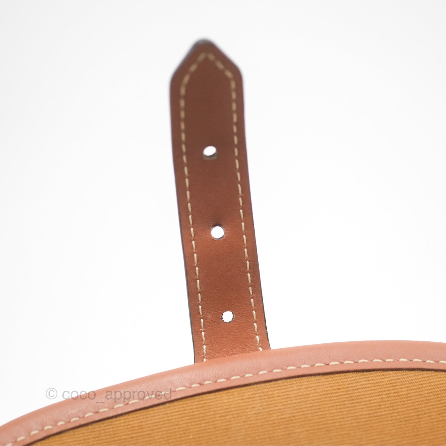 Celine Medium Folco Bag Triomphe Canvas Tan