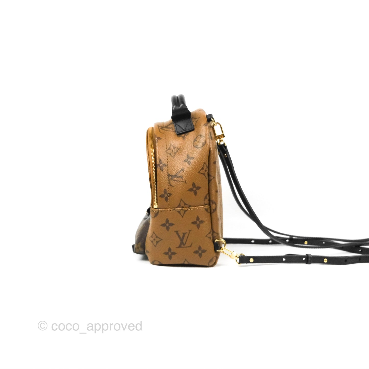 Louis Vuitton Reverse Mini Palm Springs Backpack⁣