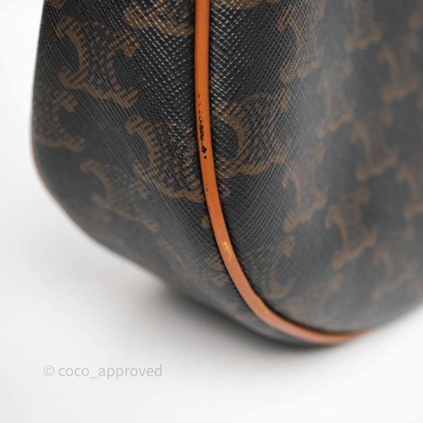 Celine Medium Ava Bag In Triomphe Canvas Calfskin Tan