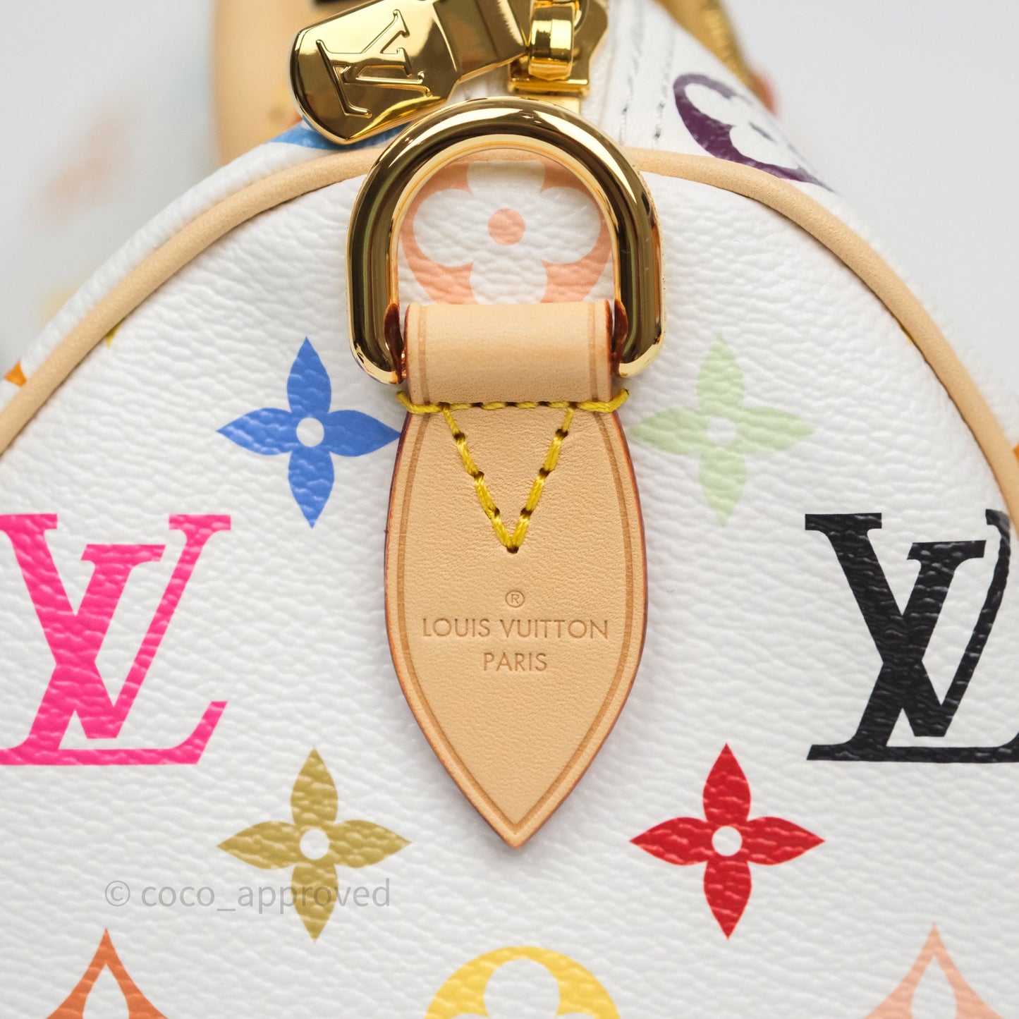 Louis Vuitton x TM Speedy Bandoulière 25