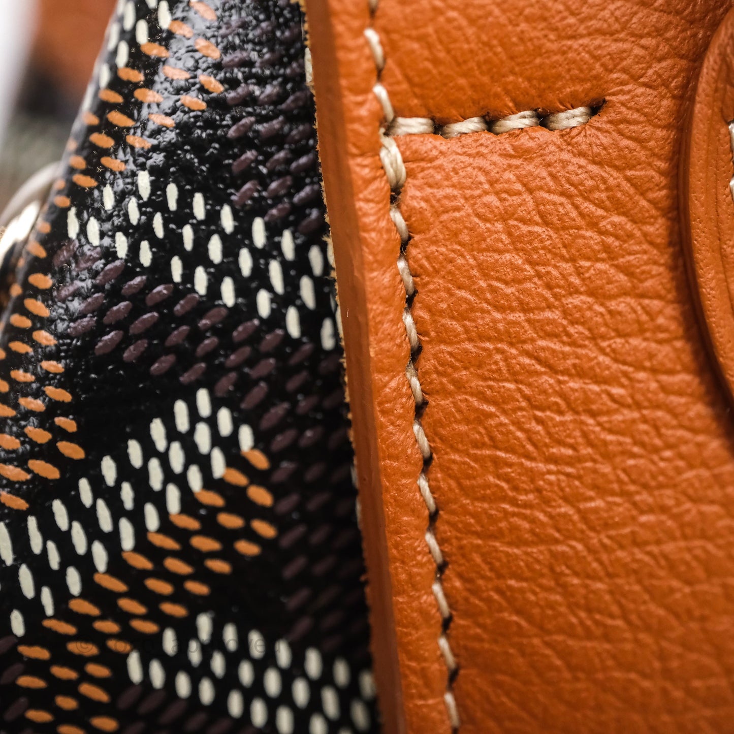 Goyard Mini Alpin Backpack Black/ Tan  Goyardine Calfskin