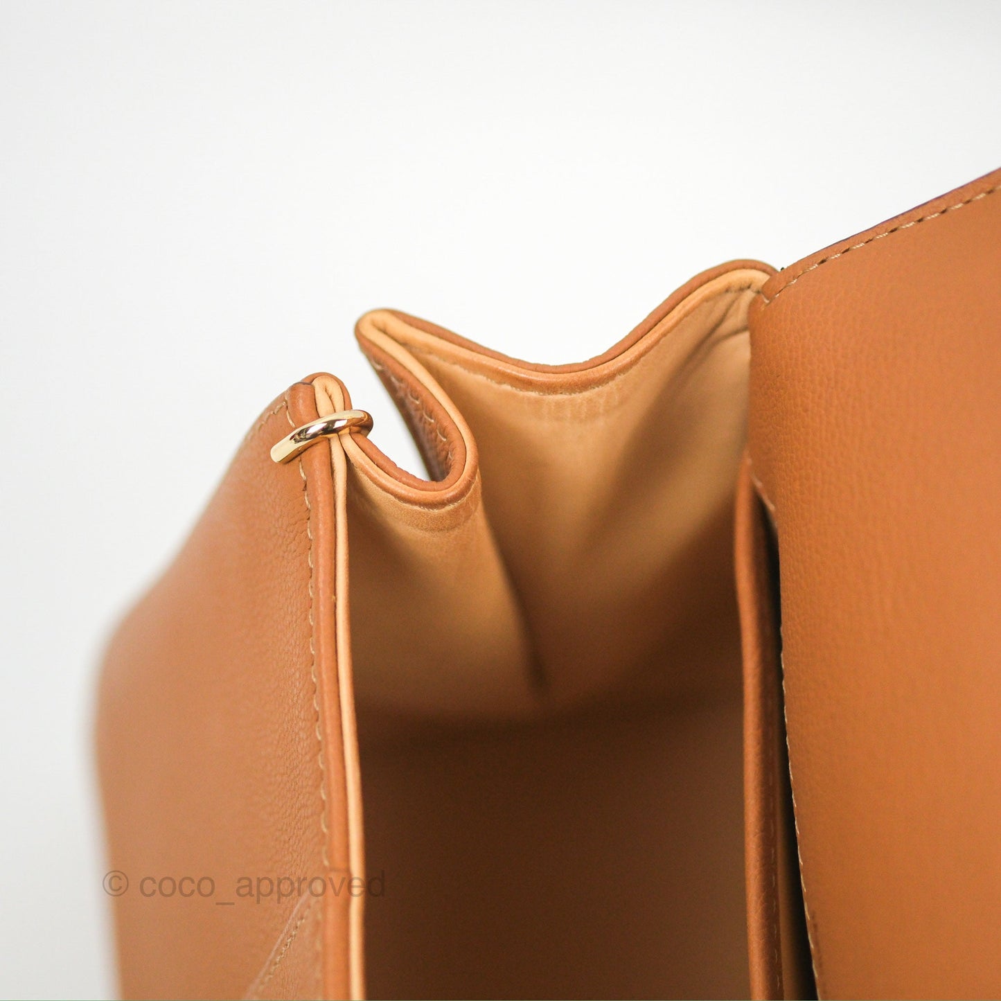 Delvaux Mini Brillant Bag Vegetal Rodeo Calf Gold Hardware