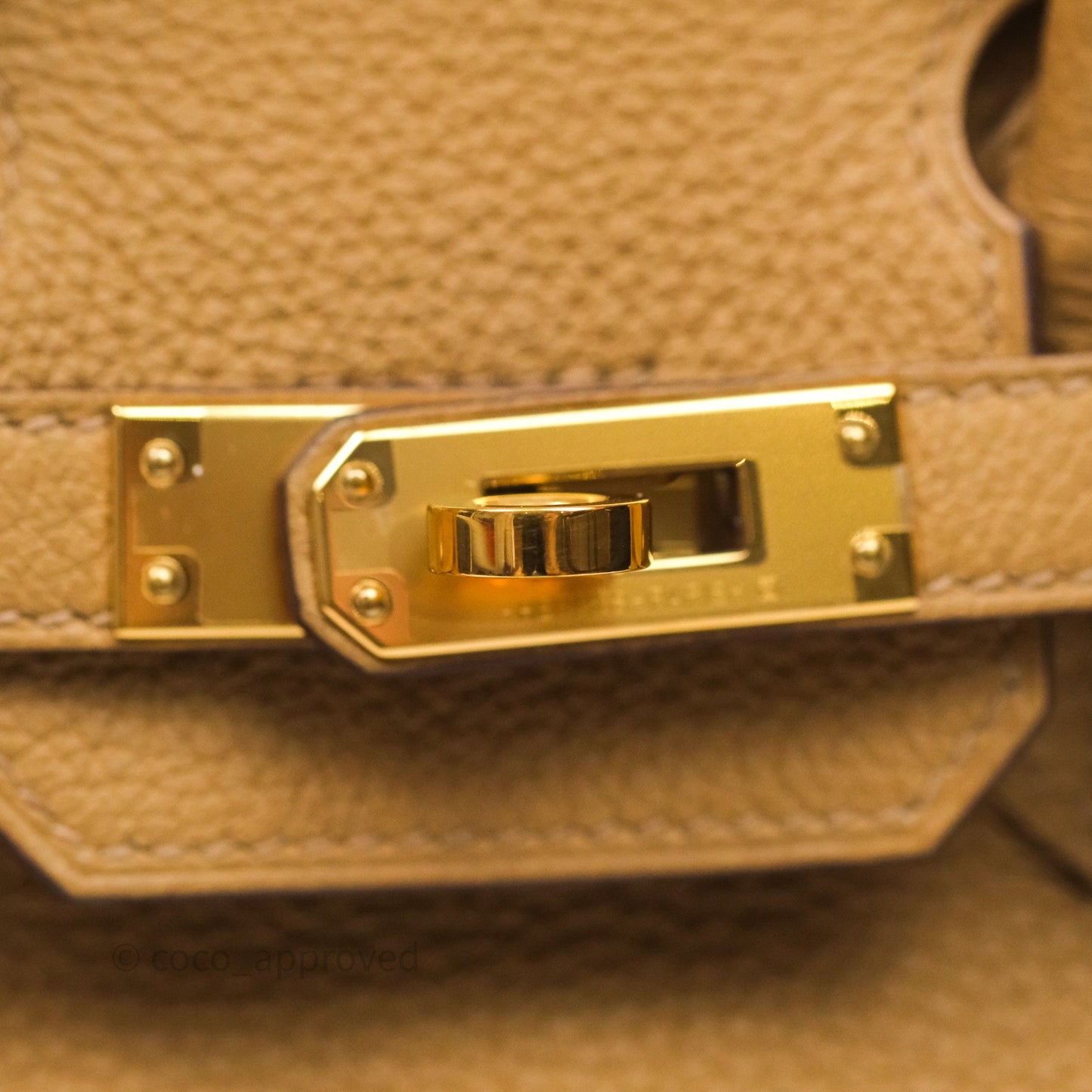 Hermès Birkin 25 Retourne Biscuit 4B Togo Gold Hardware