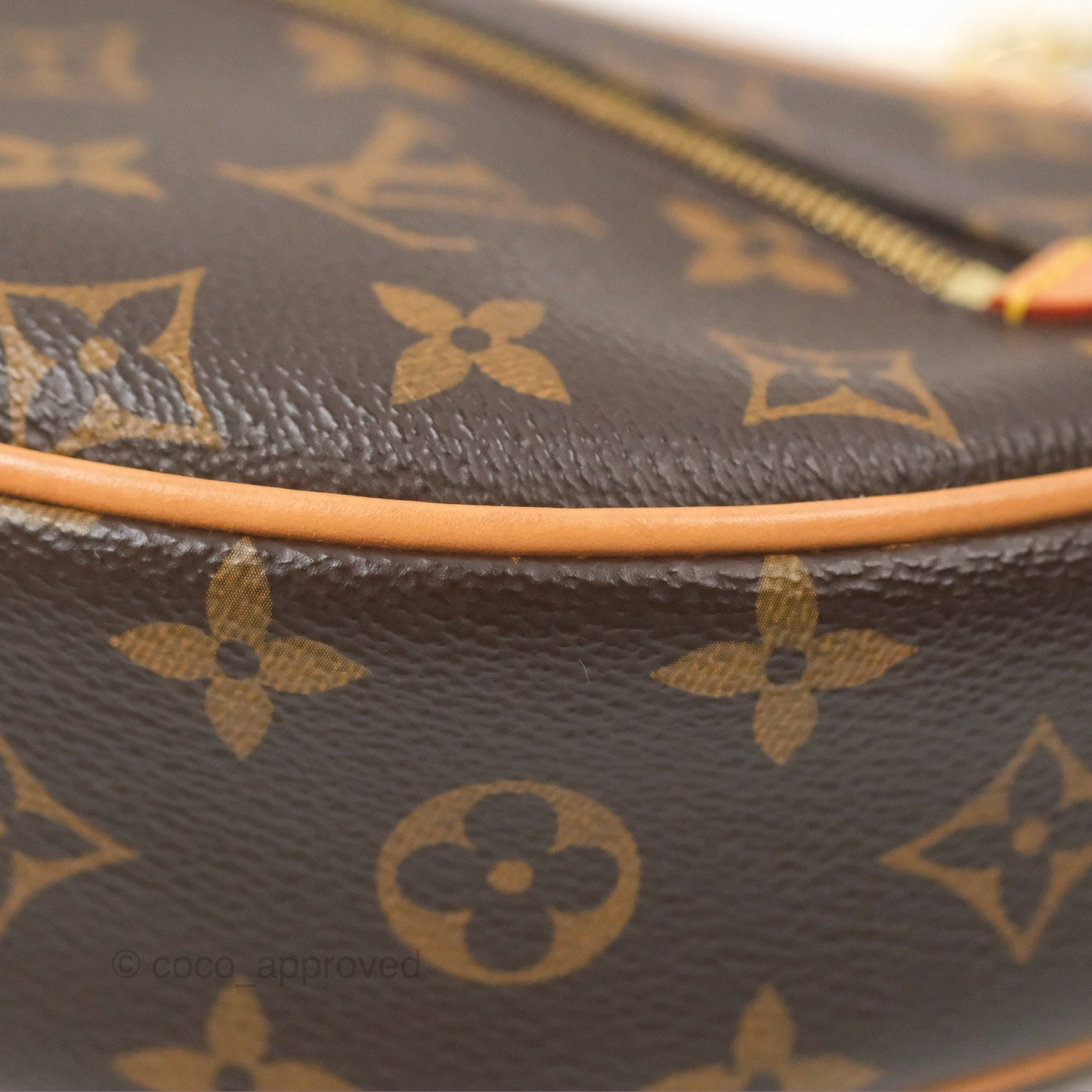 Louis Vuitton Loop Monogram Canvas