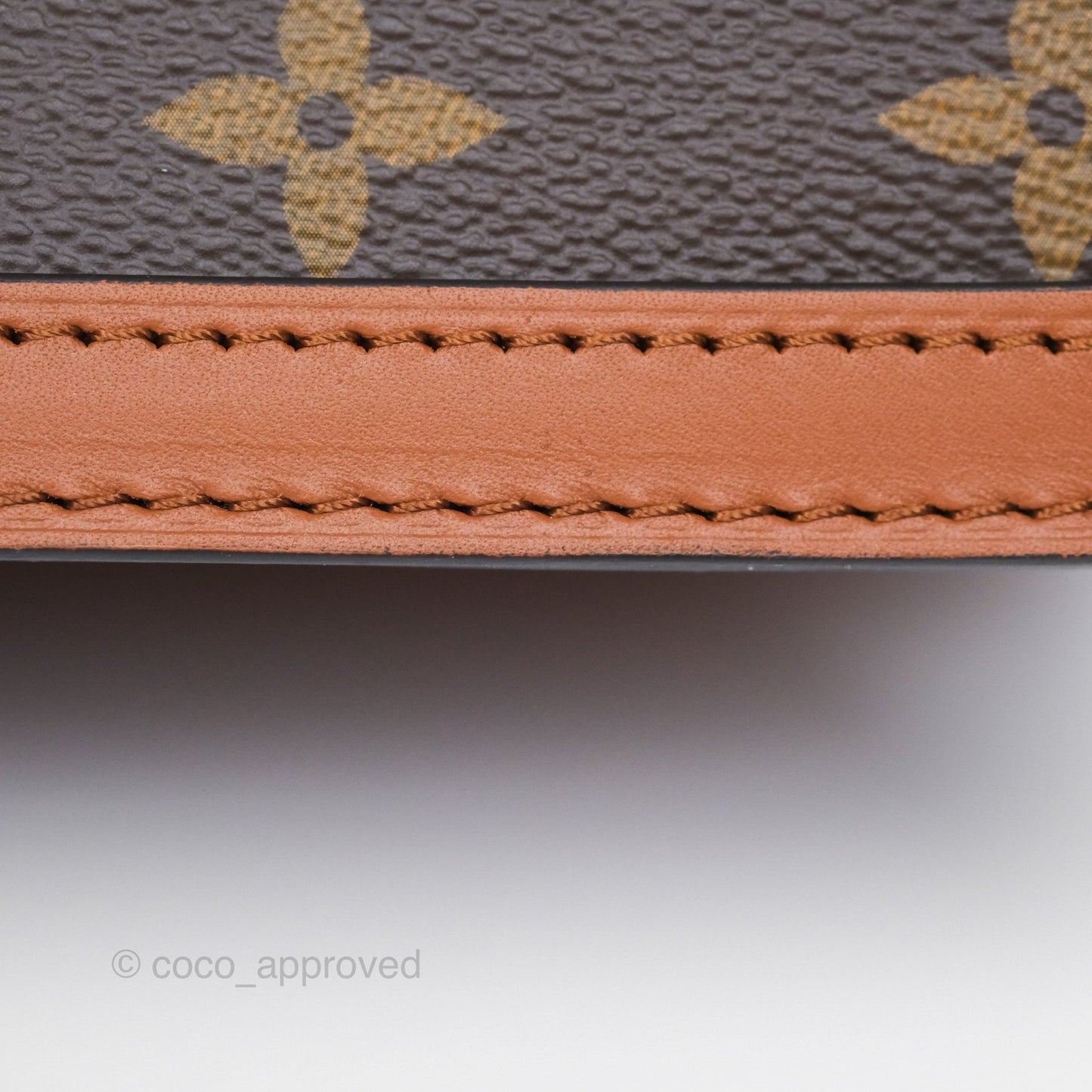 Louis Vuitton Dauphine Bag MM Monogram Canvas