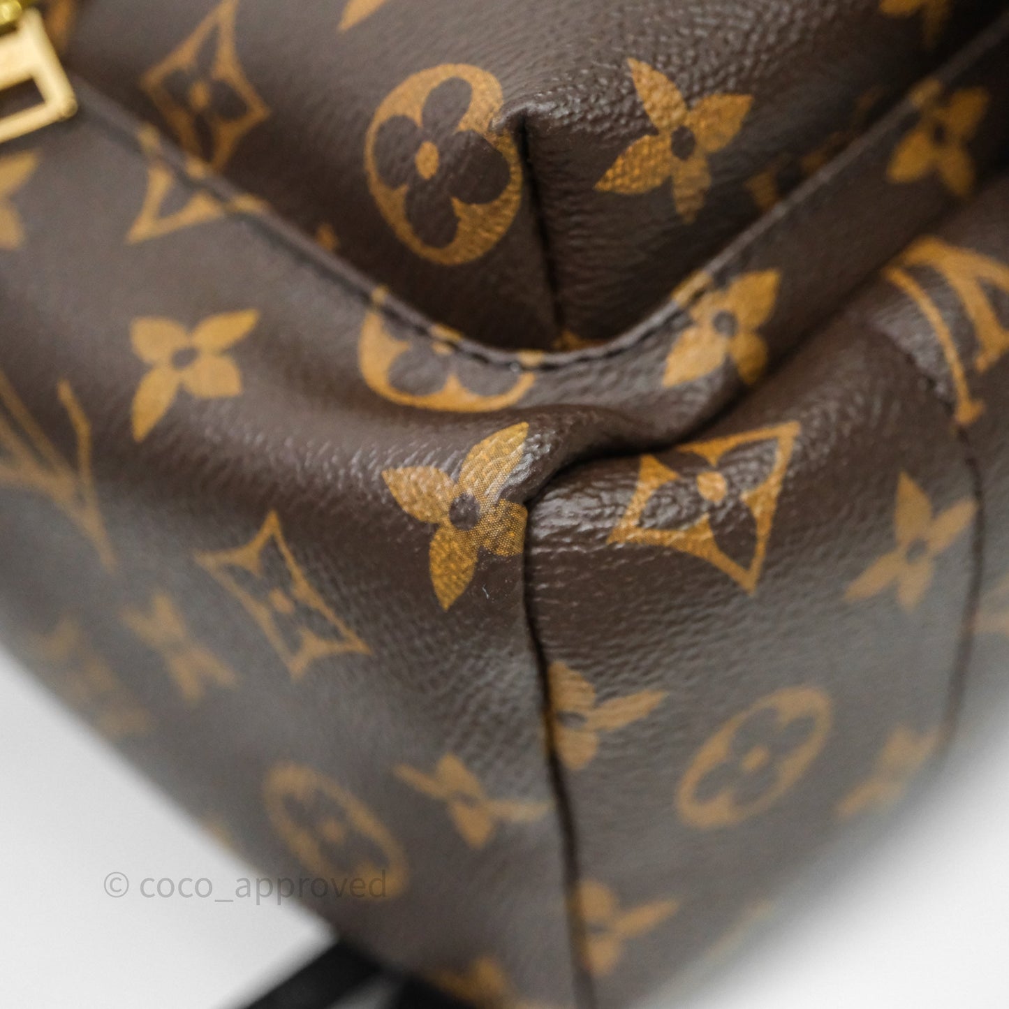Louis Vuitton Palm Springs Backpack⁣ Monogram PM