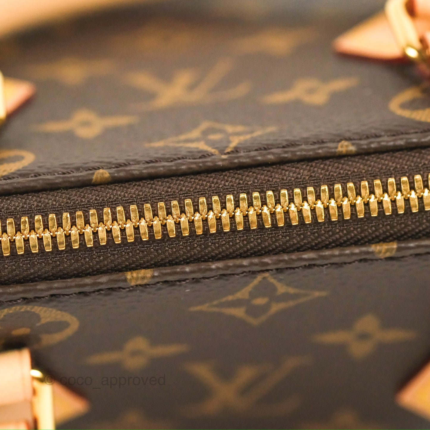 Louis Vuitton Speedy Bandoulière 20 Monogram