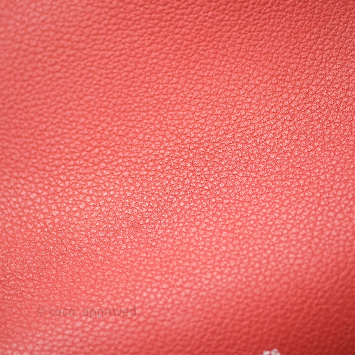 Hermès Roulis Mini Brique 36 / Caramel 28 Evercolor Palladium Hardware