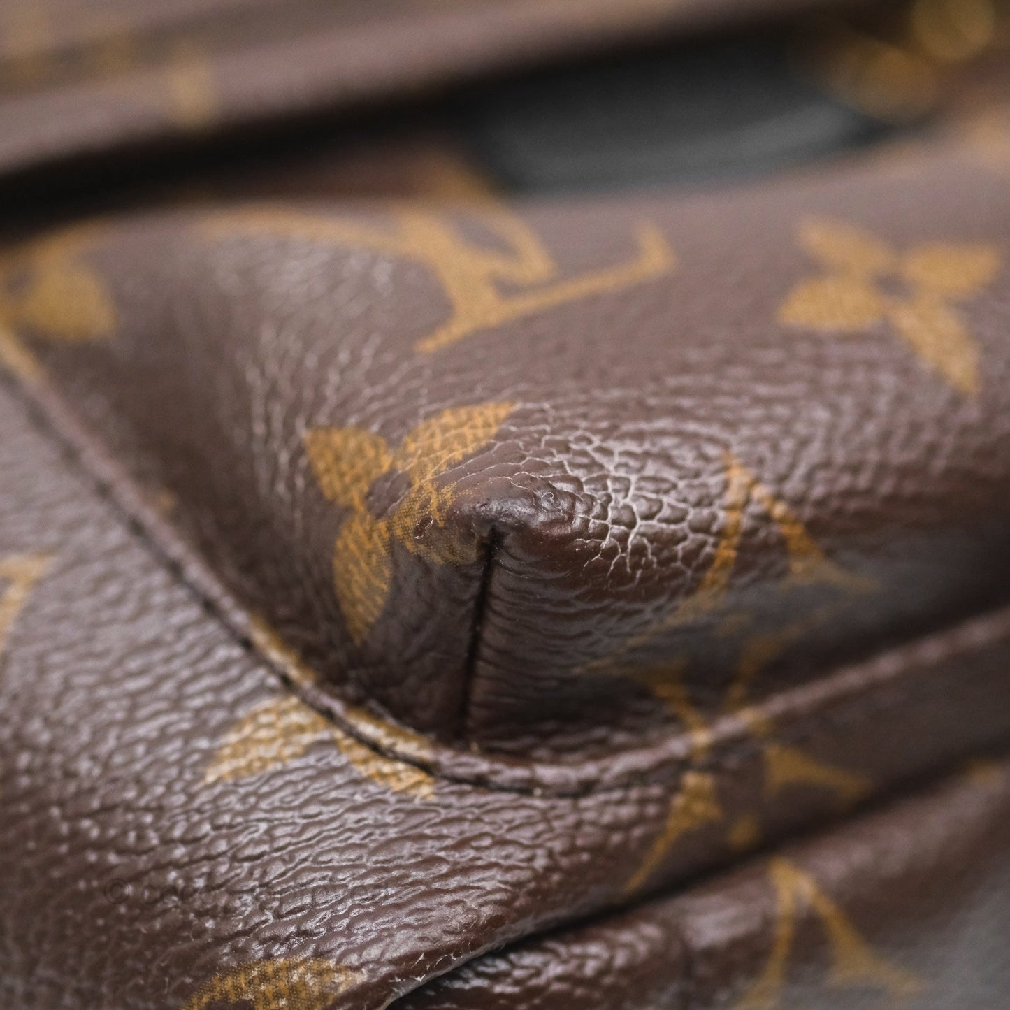 Louis Vuitton Monogram Mini Palm Springs Backpack⁣