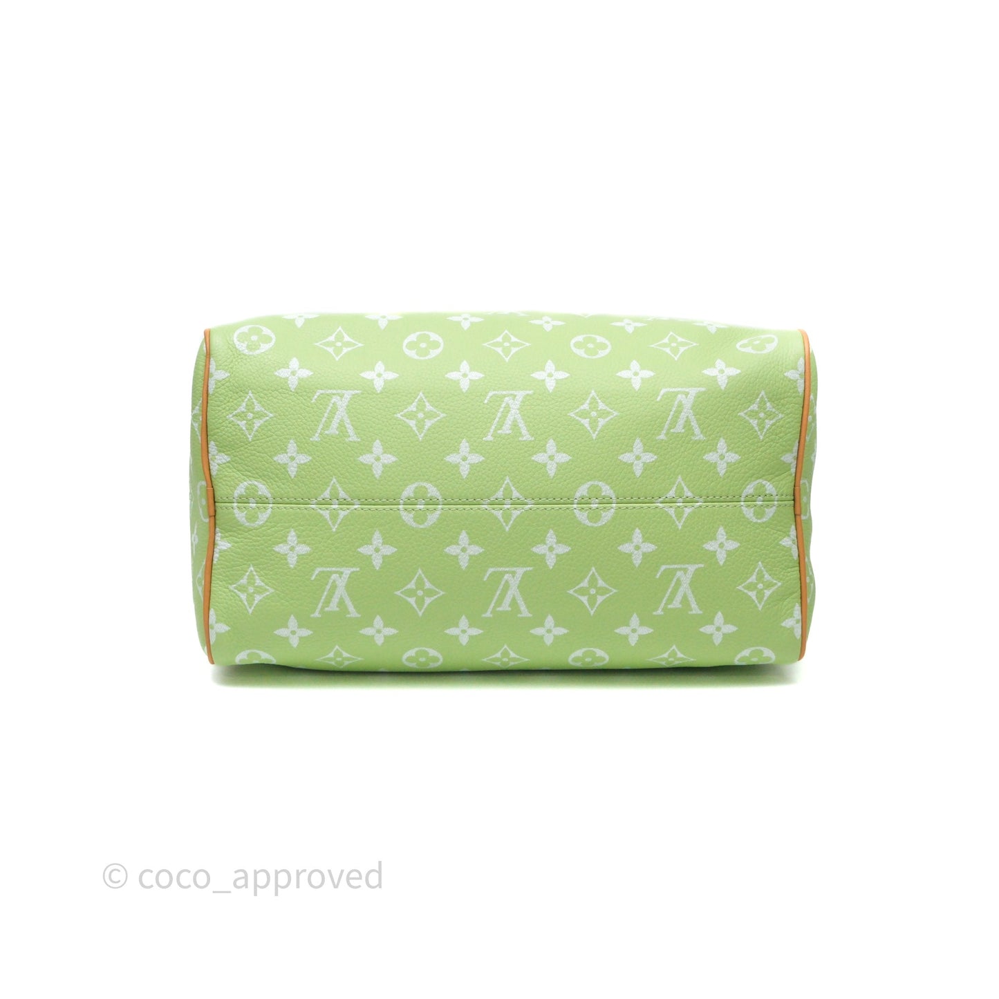 Louis Vuitton Speedy P9 Bandouliere 30 Vert Clair Bag