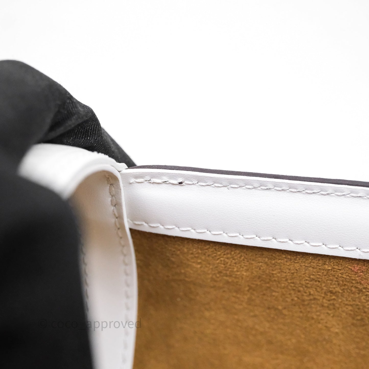 Louis Vuitton Monogram Papillon Trunk Bag