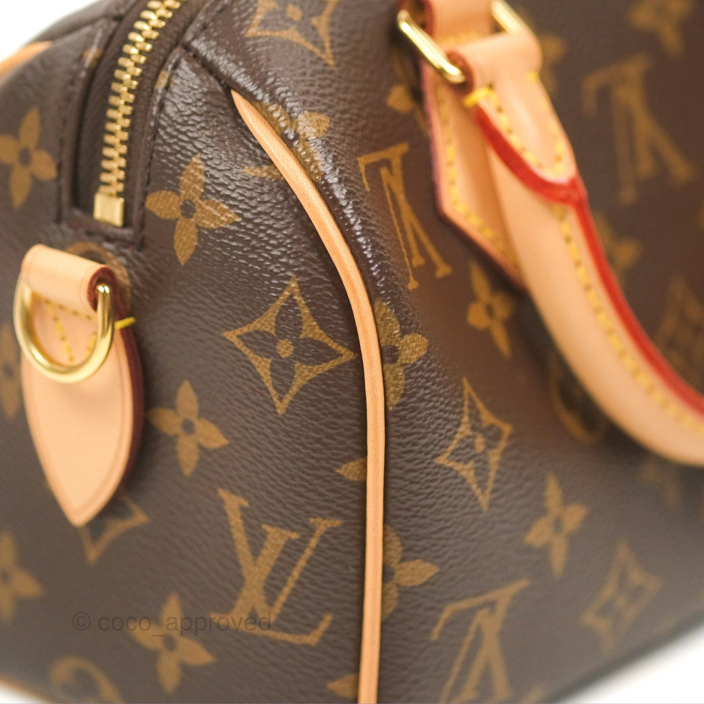Louis Vuitton Speedy Bandoulière 20 Monogram