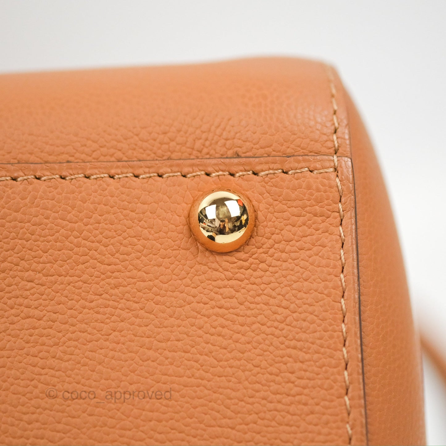 Delvaux Mini Brillant Bag Vegetal Rodeo Calf Gold Hardware