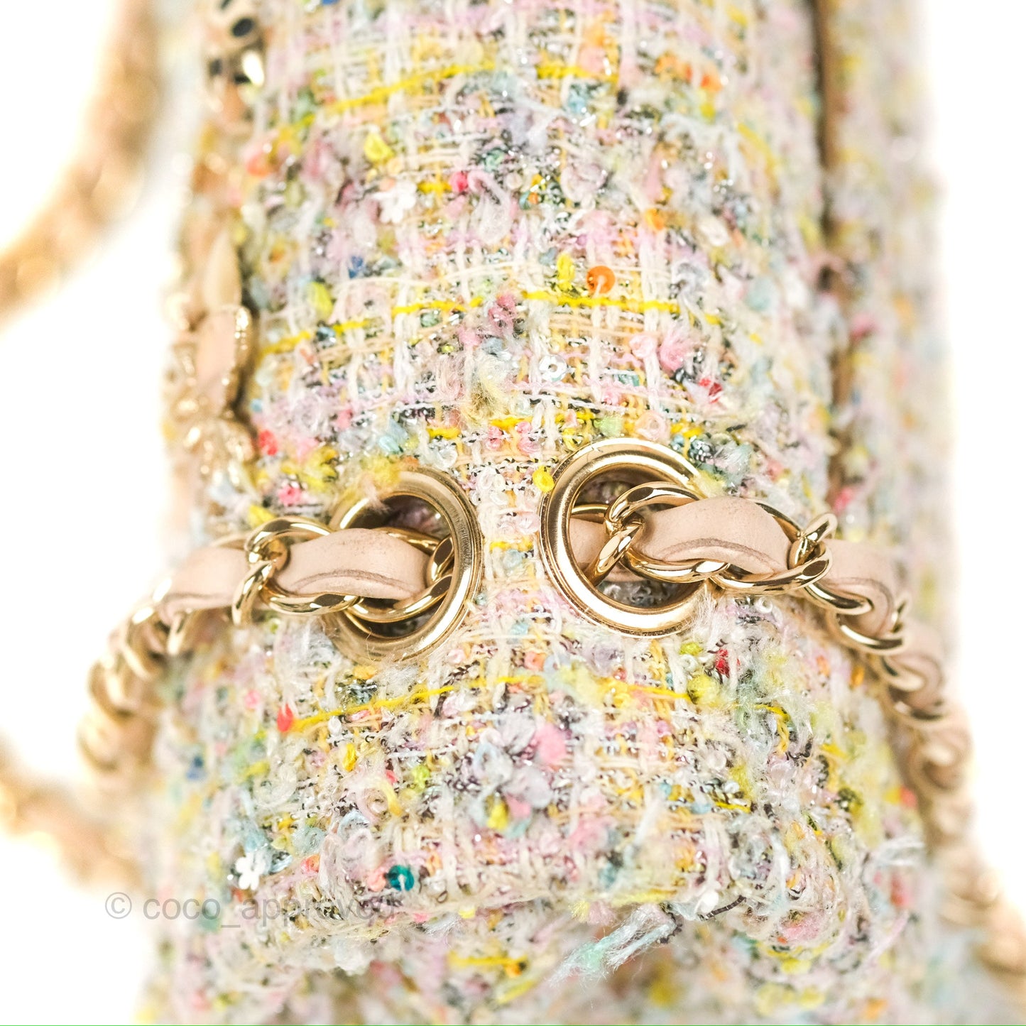 Chanel Reissue Tweed Pastel Garden Party Flap